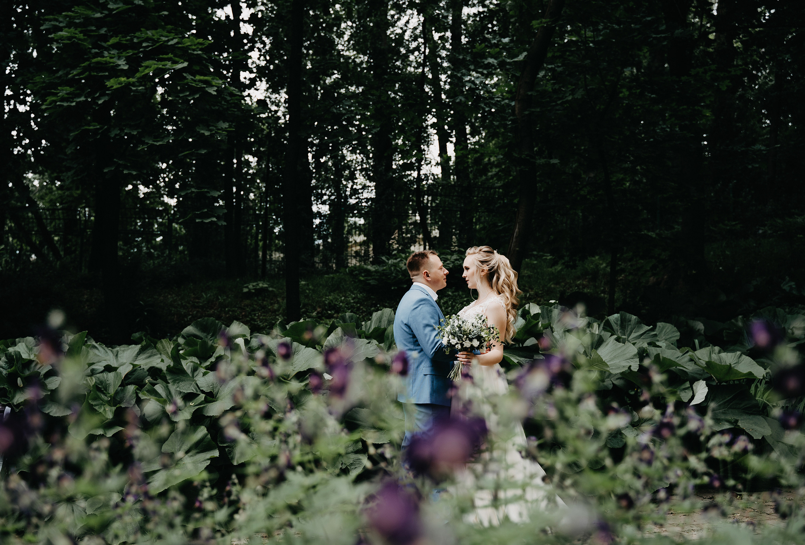 Владимир и Анастасия. Свадебный фотограф