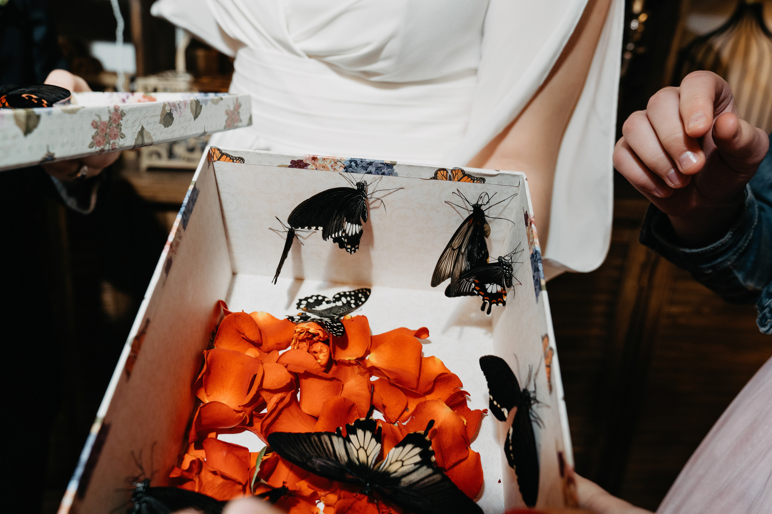 Дмитрий и Олеся. Свадебный фотограф