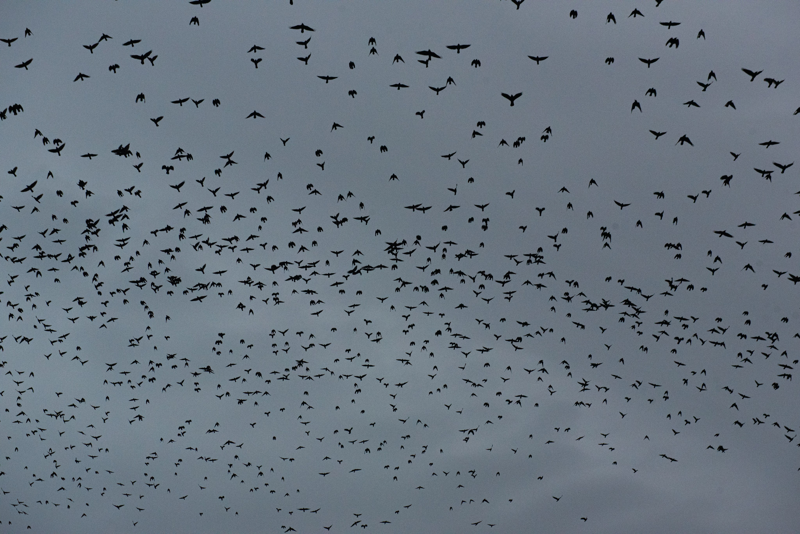 Мурмурация. Портретный и архитектурный фотограф в Москве и Санкт-Петербурге