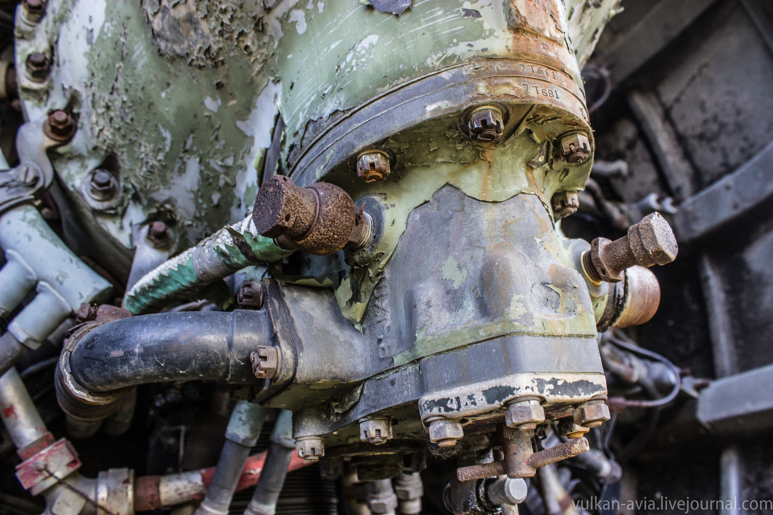 Ил-14 (Пермь, Фролы). Фотоальбом показывающий увлекательный мир авиации и мир медведей Андрея Иванова