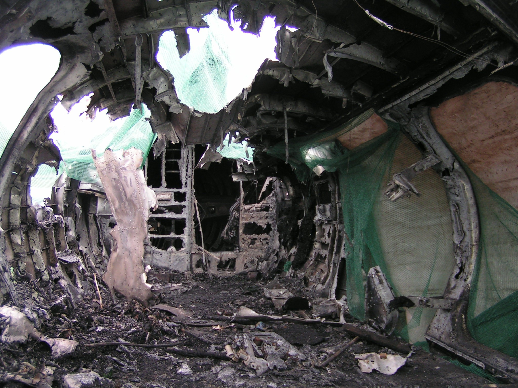 Ил-14 (Ходынка) — уничтожен. Фотоальбом показывающий увлекательный мир авиации и мир медведей Андрея Иванова