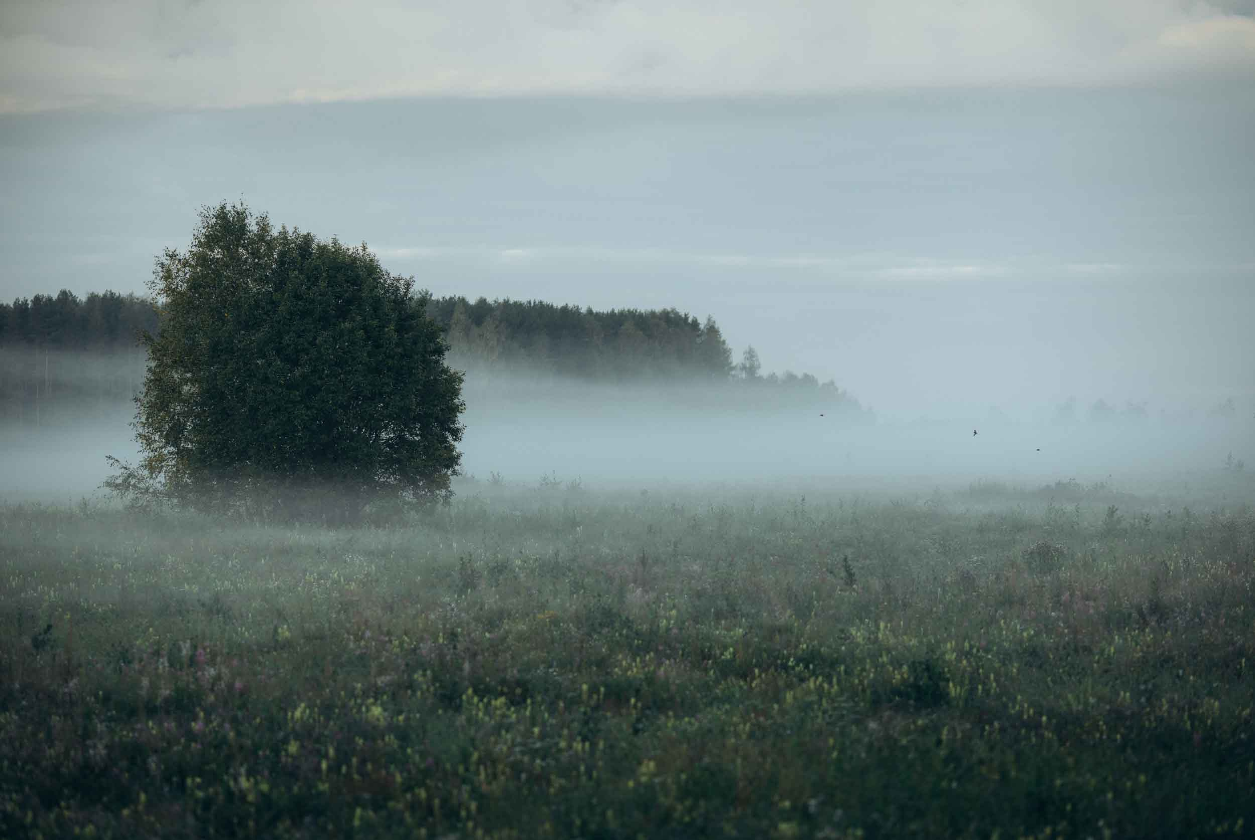 Природные пейзажи. Наталия Клевинскас портретный фотограф в Костроме