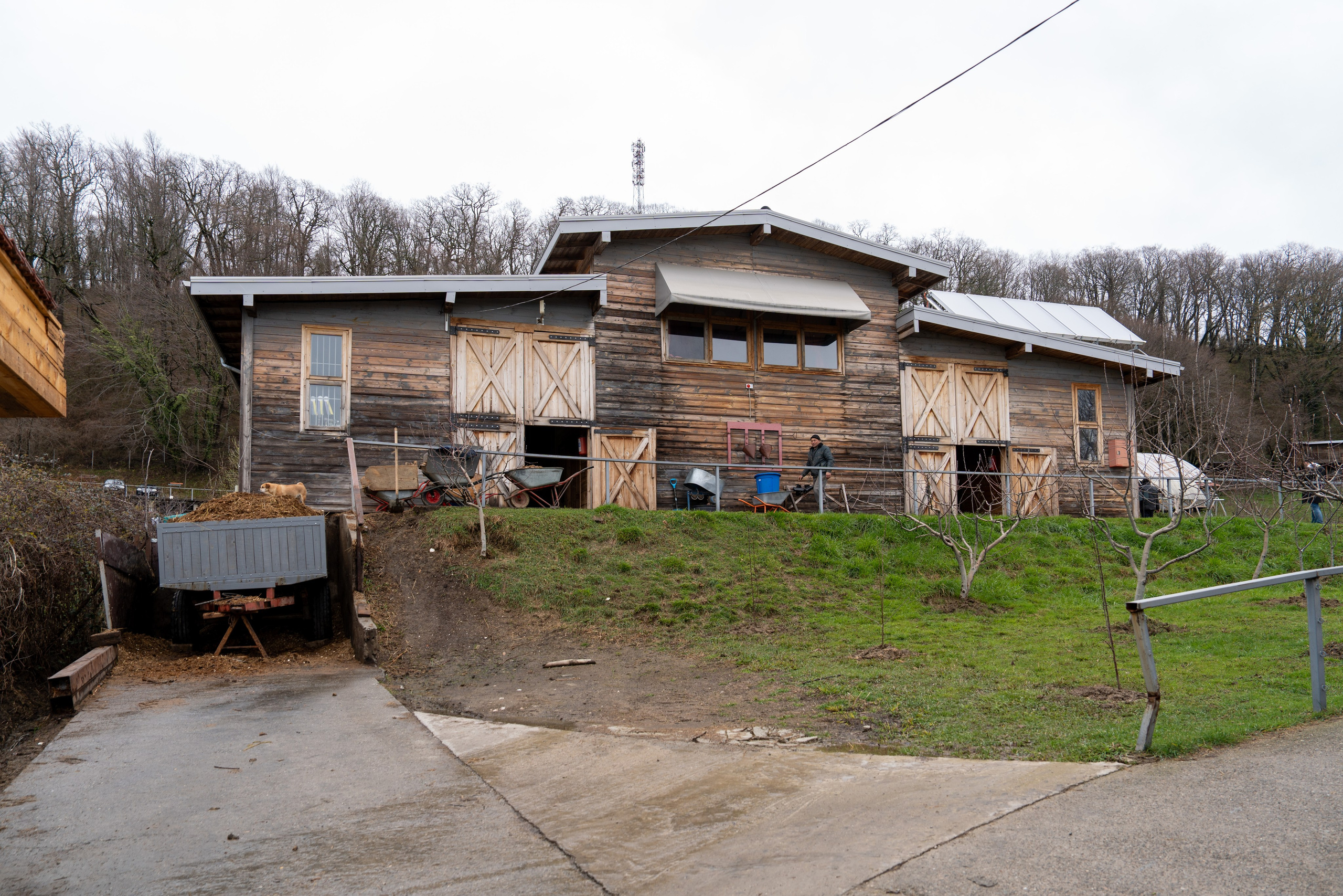 MICE мероприятие на ферме Экзархо. Репортажный фотограф в Красной Поляне и Сочи Павлюченко Екатерина