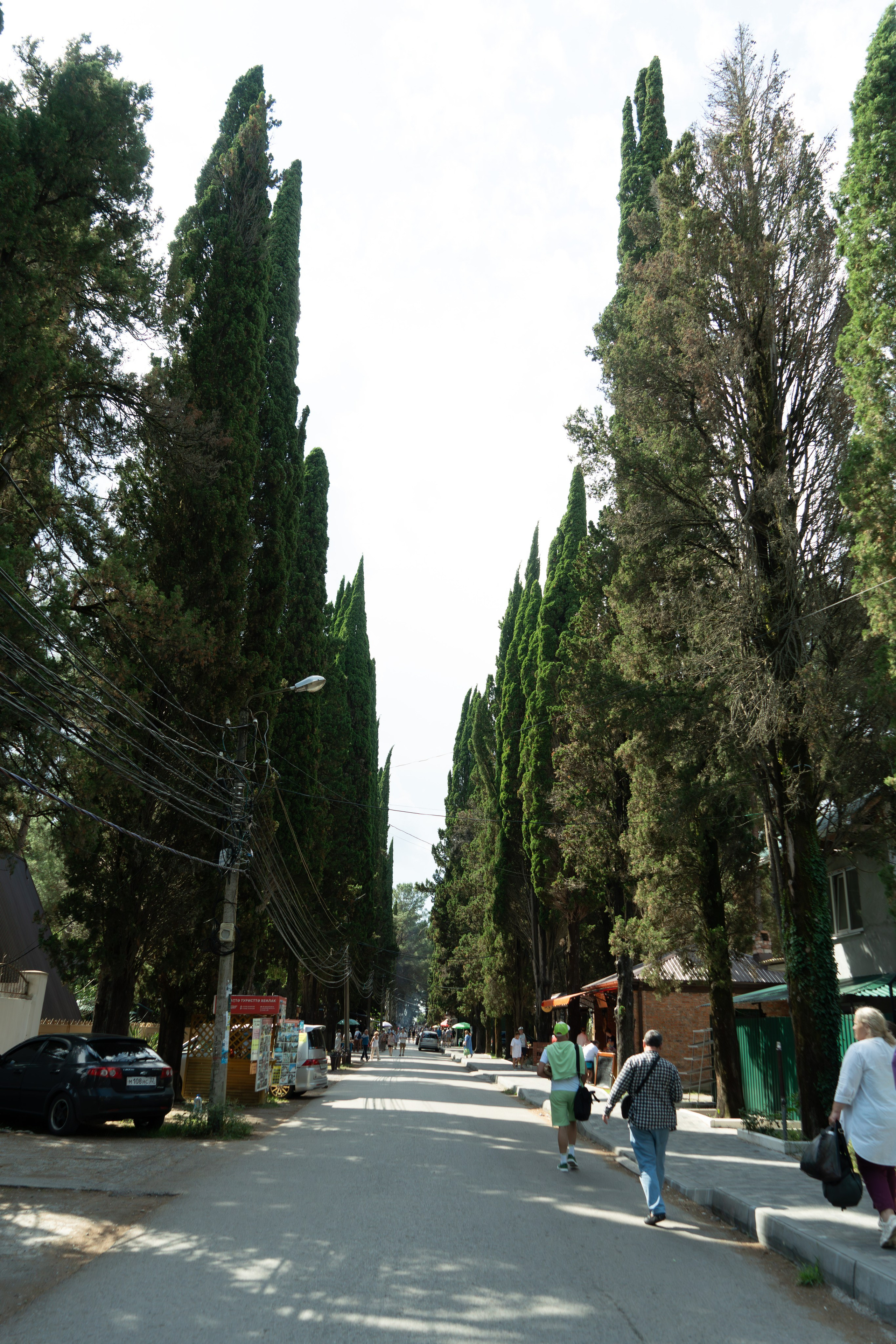 MICE мероприятие — тур по Абхазии. Репортажный фотограф в Красной Поляне и Сочи Павлюченко Екатерина