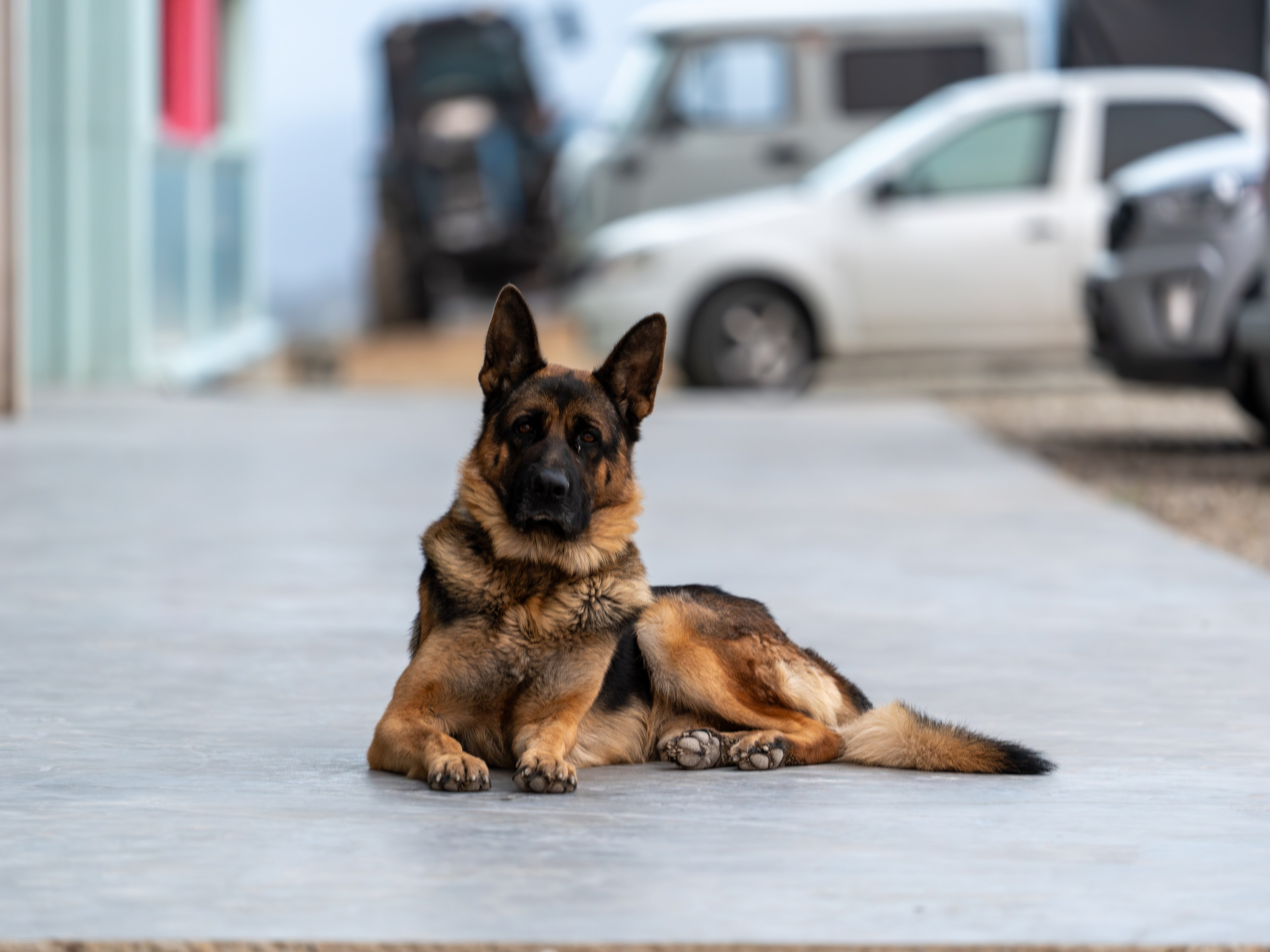 Литературная мастерская с Ольгой Шутовой в «Винотеррии». Репортажный фотограф в Красной Поляне и Сочи Павлюченко Екатерина