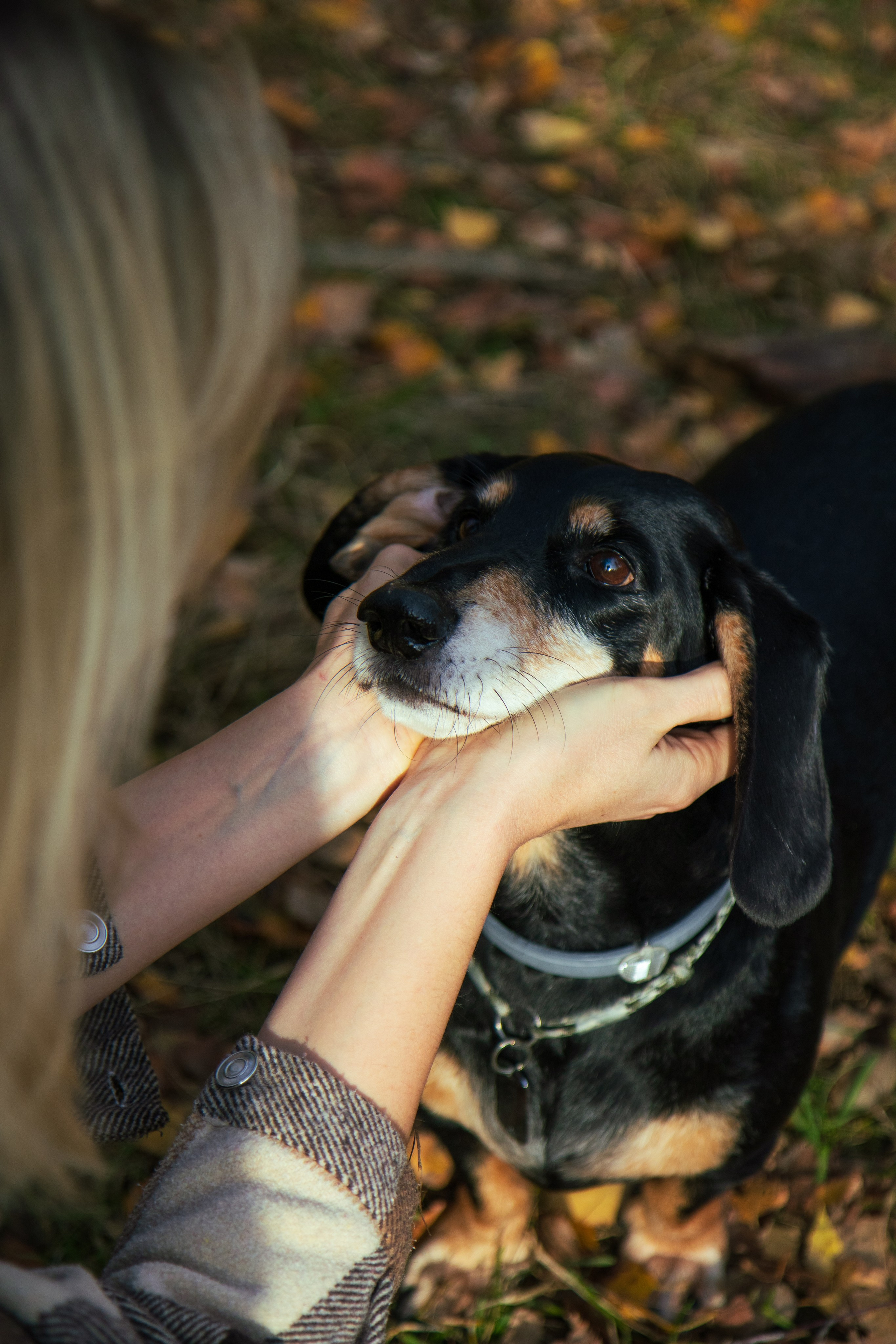 Марина и Тобик. Семейный и детский фотограф в Королёве Шарутина Лидия