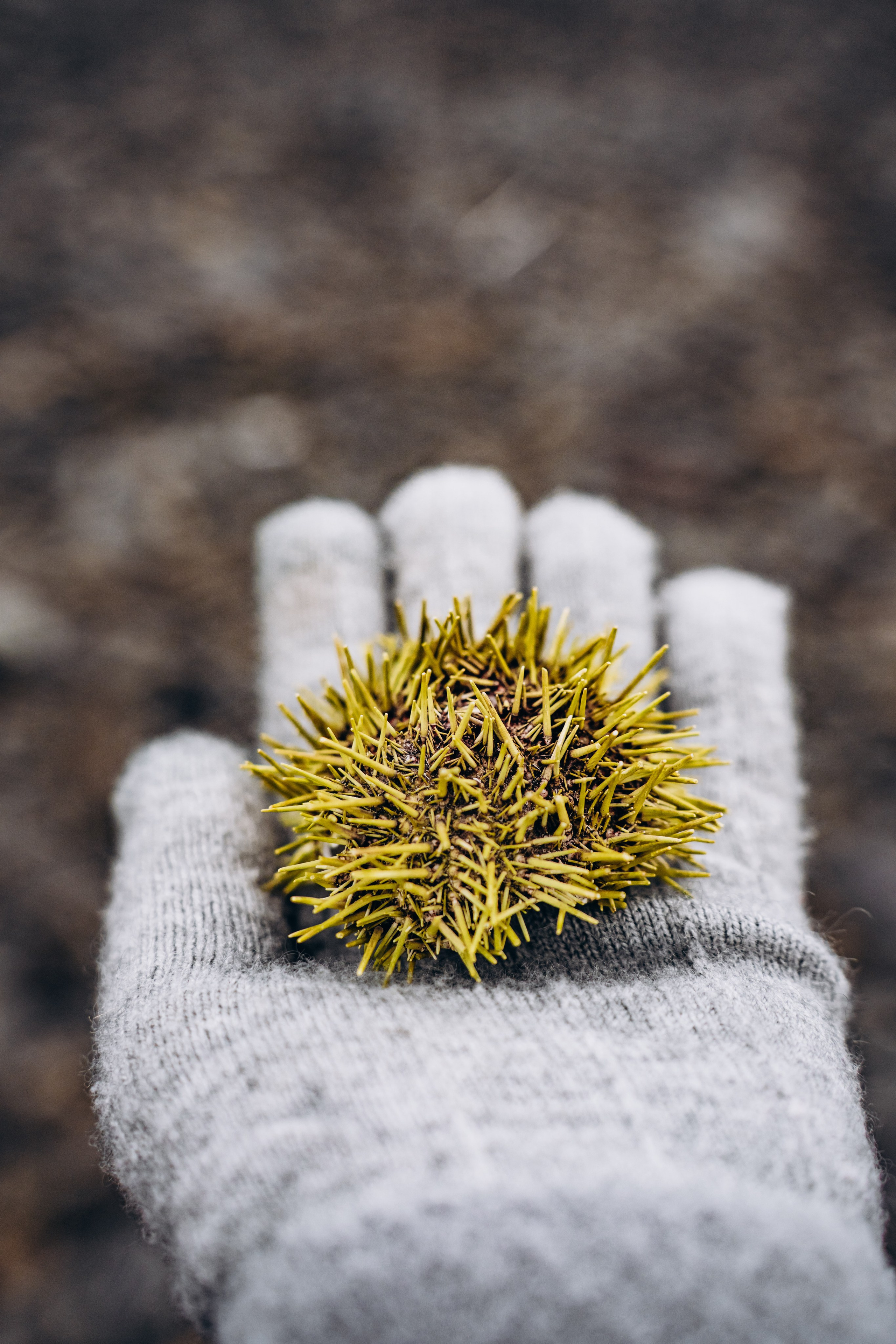 СЕВЕР. Event фотограф Степанова Александра