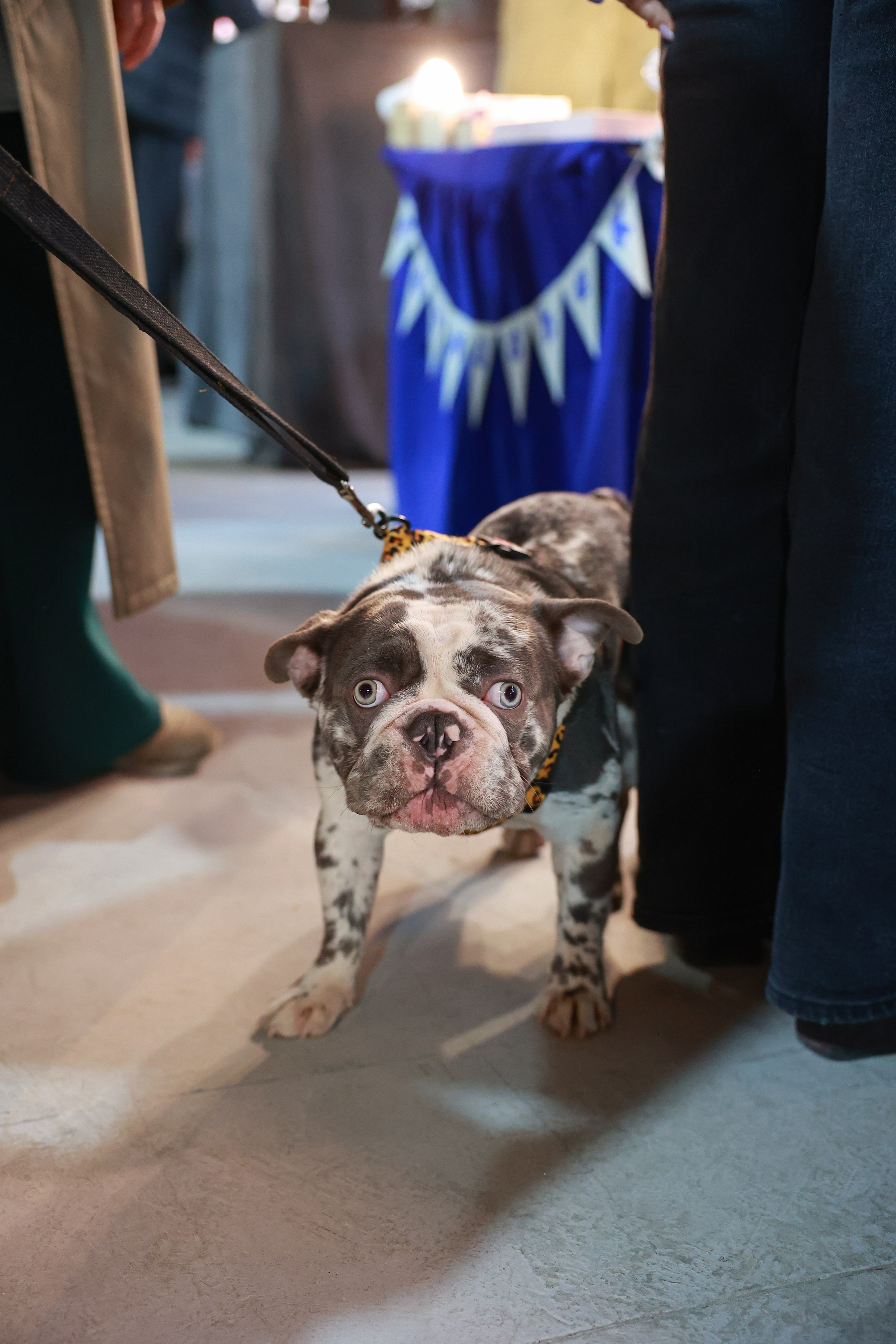 7–8 марта 2026 в Типографии Сытина / фото Саша Жукова. Фотоотчеты «Ламбада-маркета»