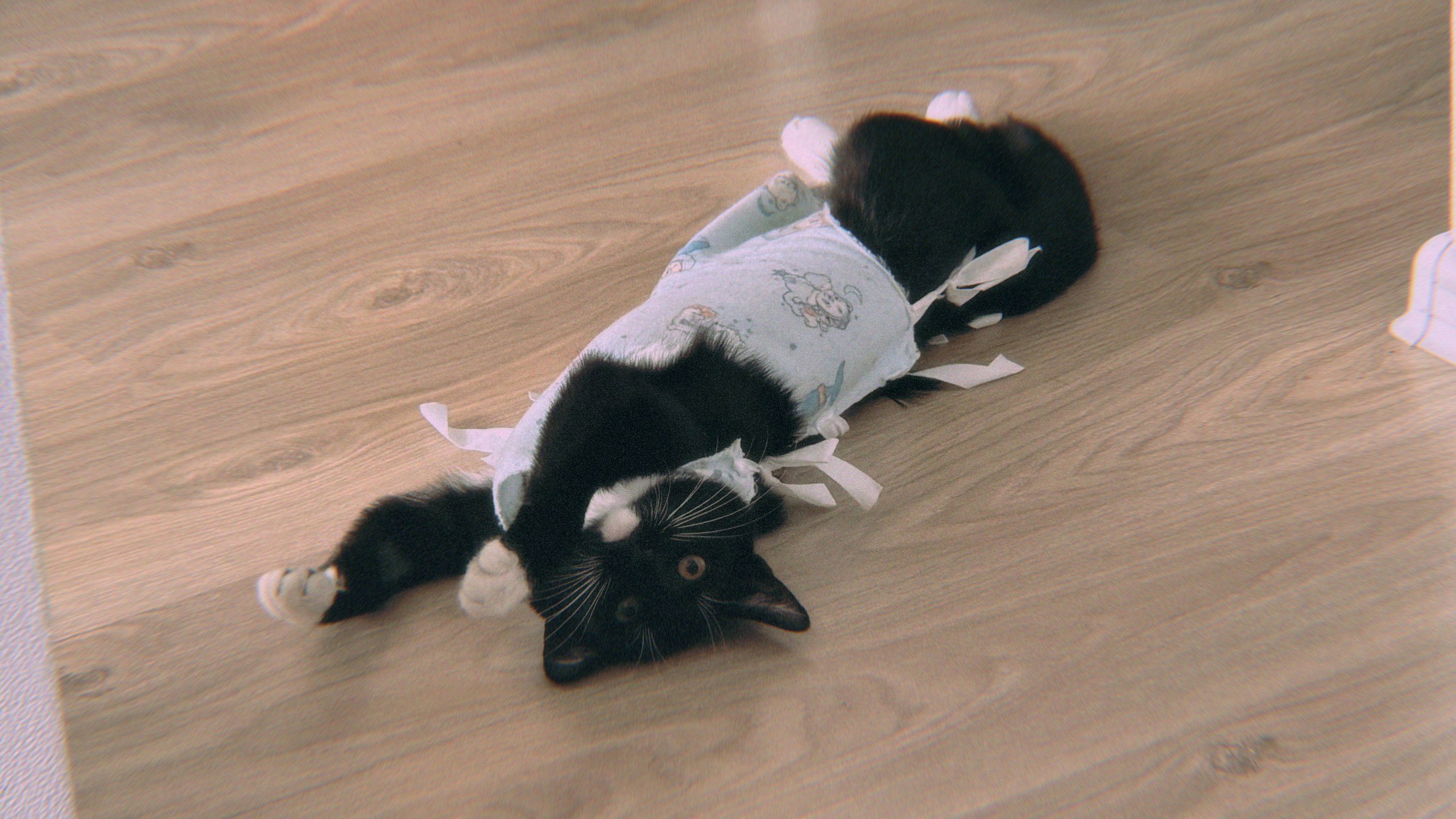 Визуальный дневник. Портретный фотограф в Москве Гахраманова Екатерина