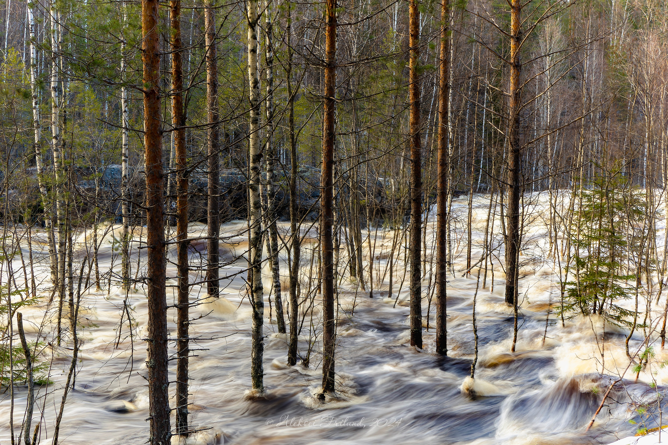 Природа Карелии. Аэросъемка. Фото и Видео в Карелии. Алексей Фрилунд
