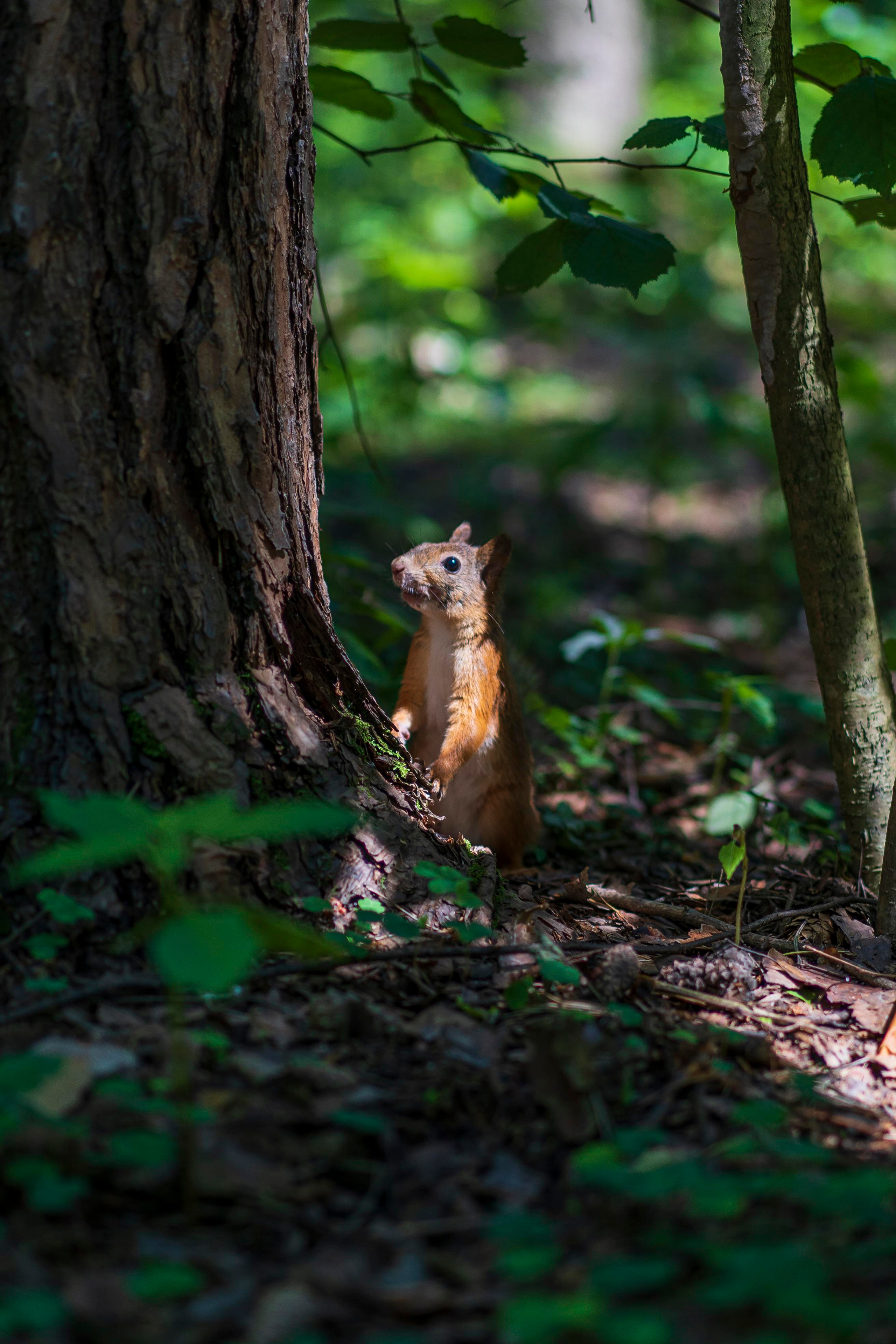 Фотопроект Летний Поход. Brand photographer