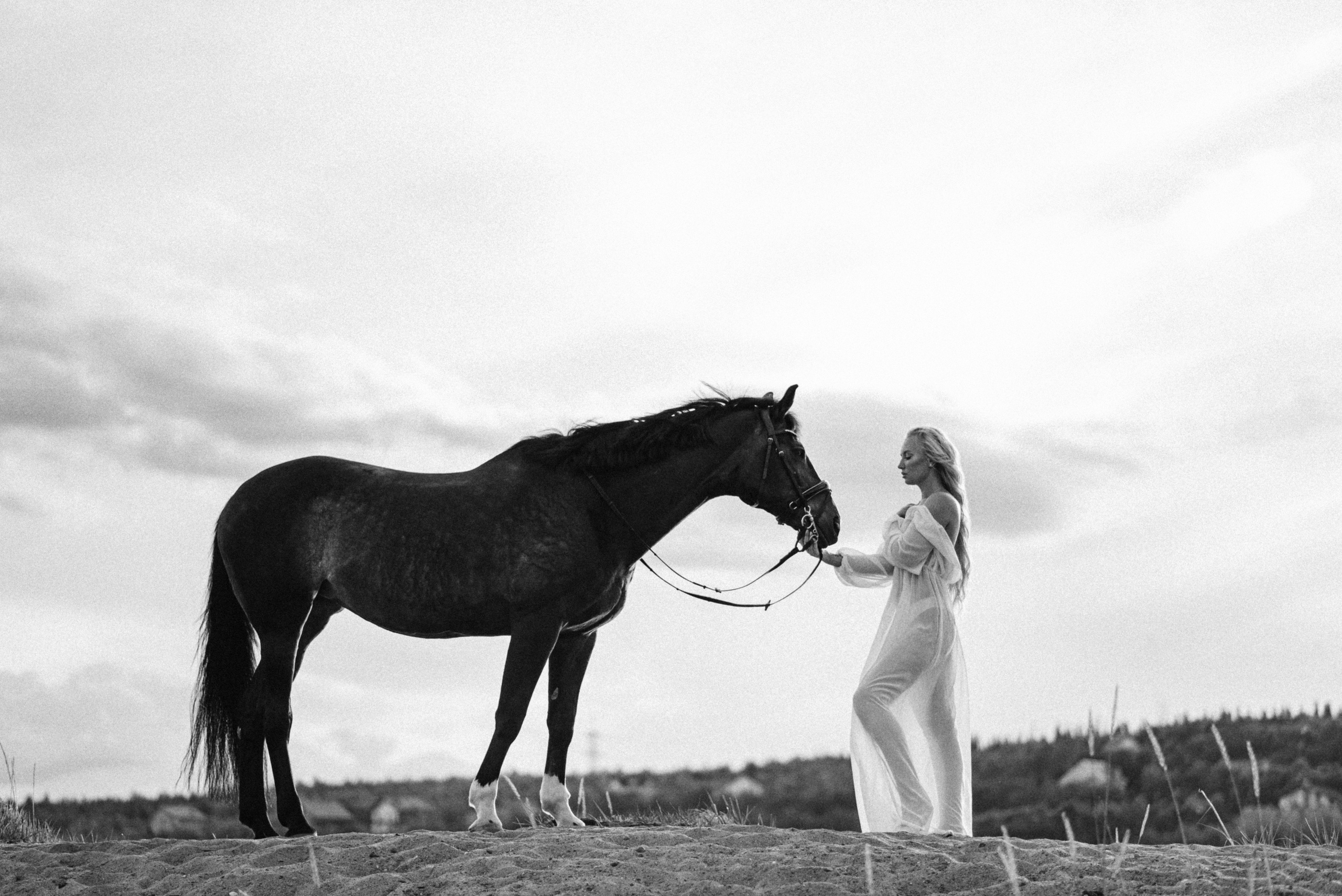 Валерия. Атмосферная фотосессия с лошадью. Фотограф в Мурманске Екатерина Рудак