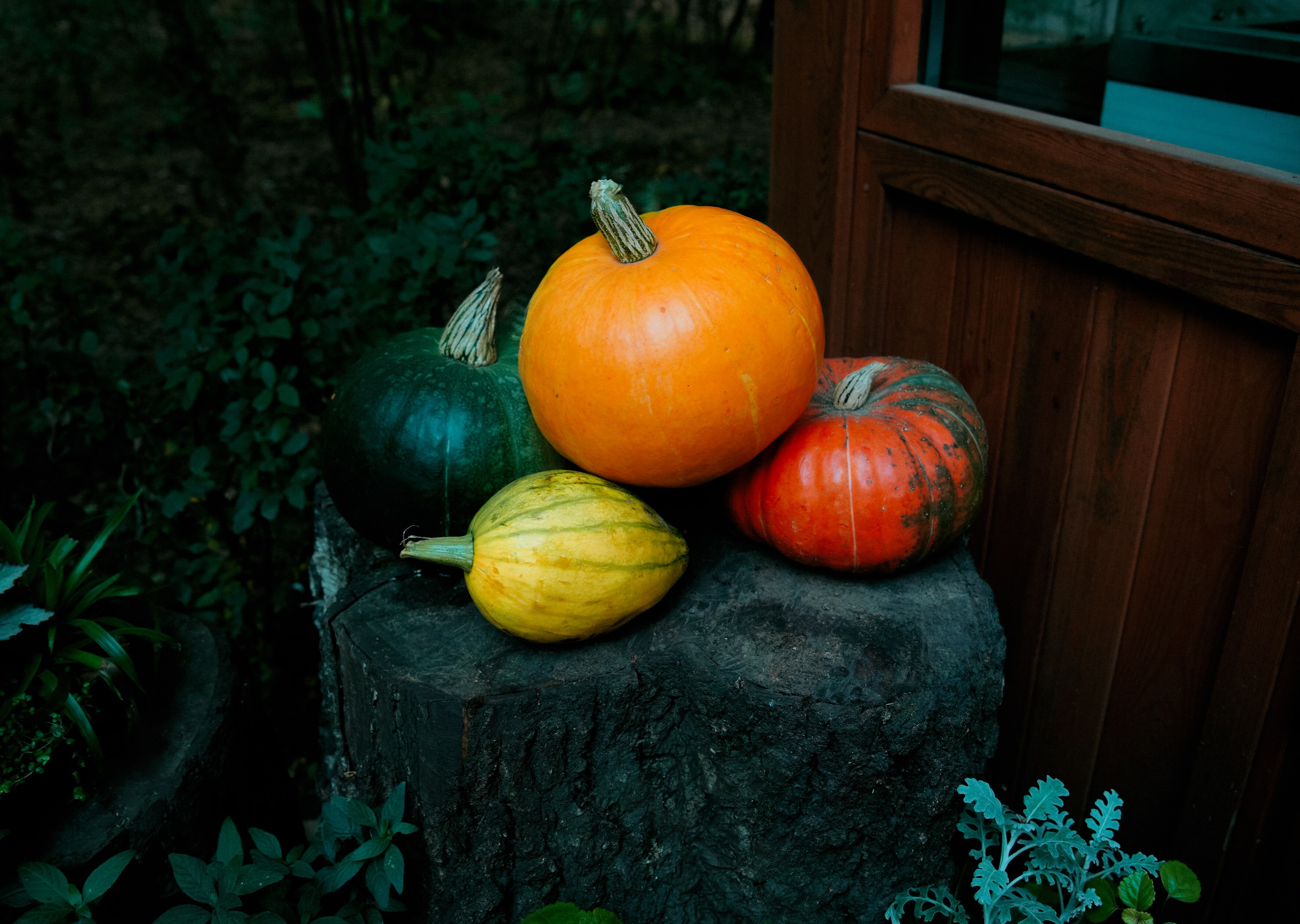 Осень 2025. Фотограф из Москвы — DASHA NOVA | Авторская фотография в разных жанрах