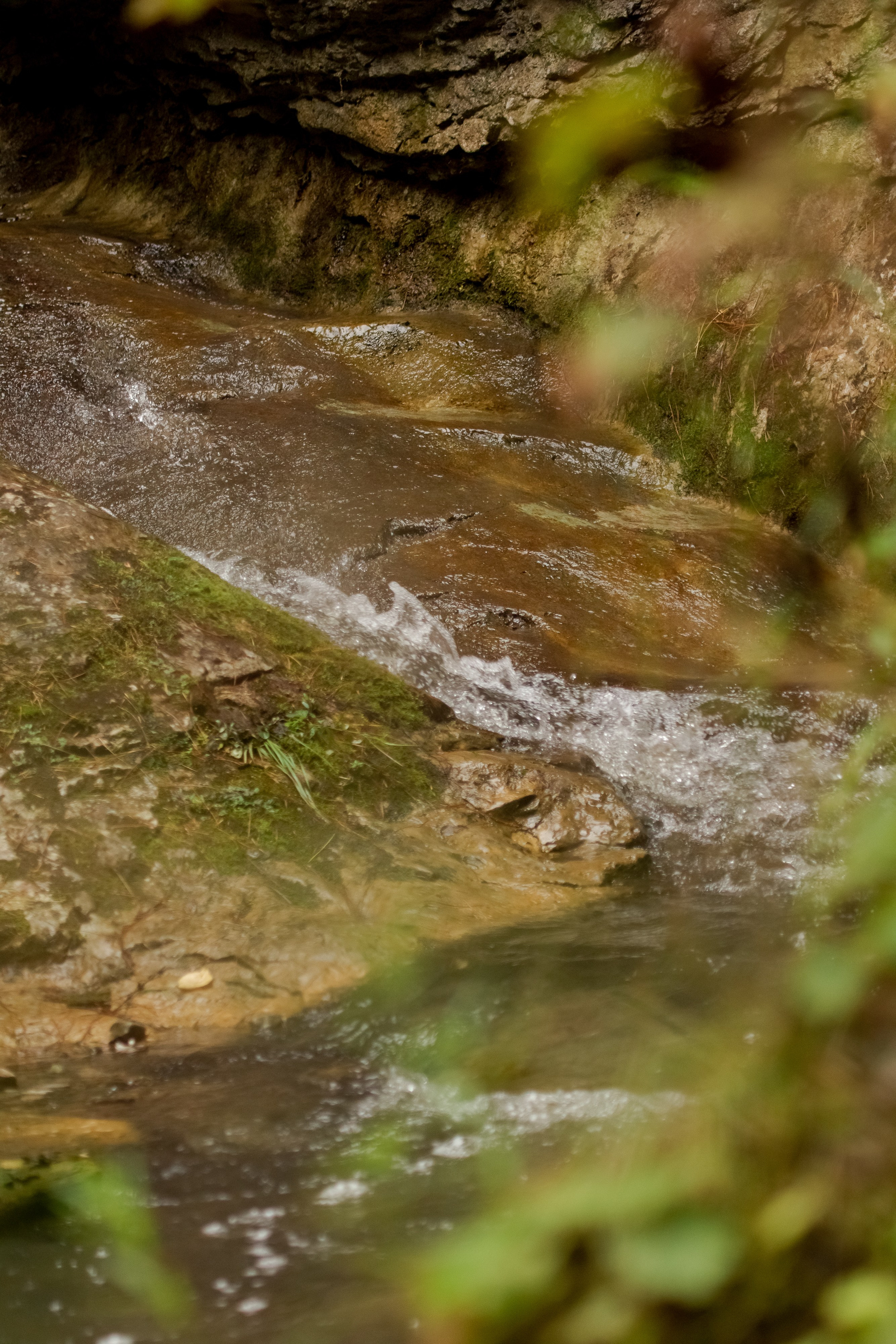 Фототур Кия. Фотограф Кирилл Мешков Кемерово