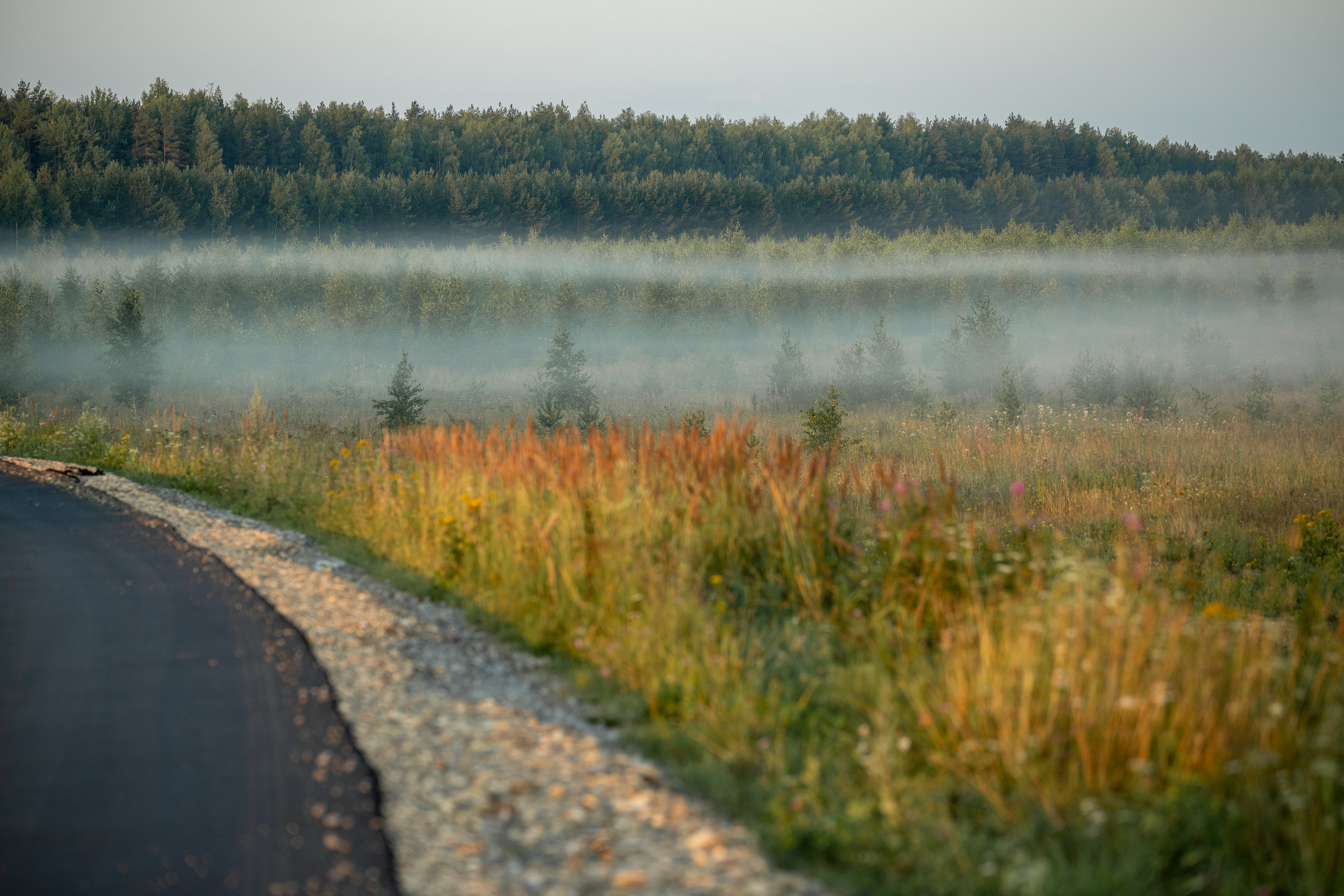 Природные пейзажи. Наталия Клевинскас портретный фотограф в Костроме
