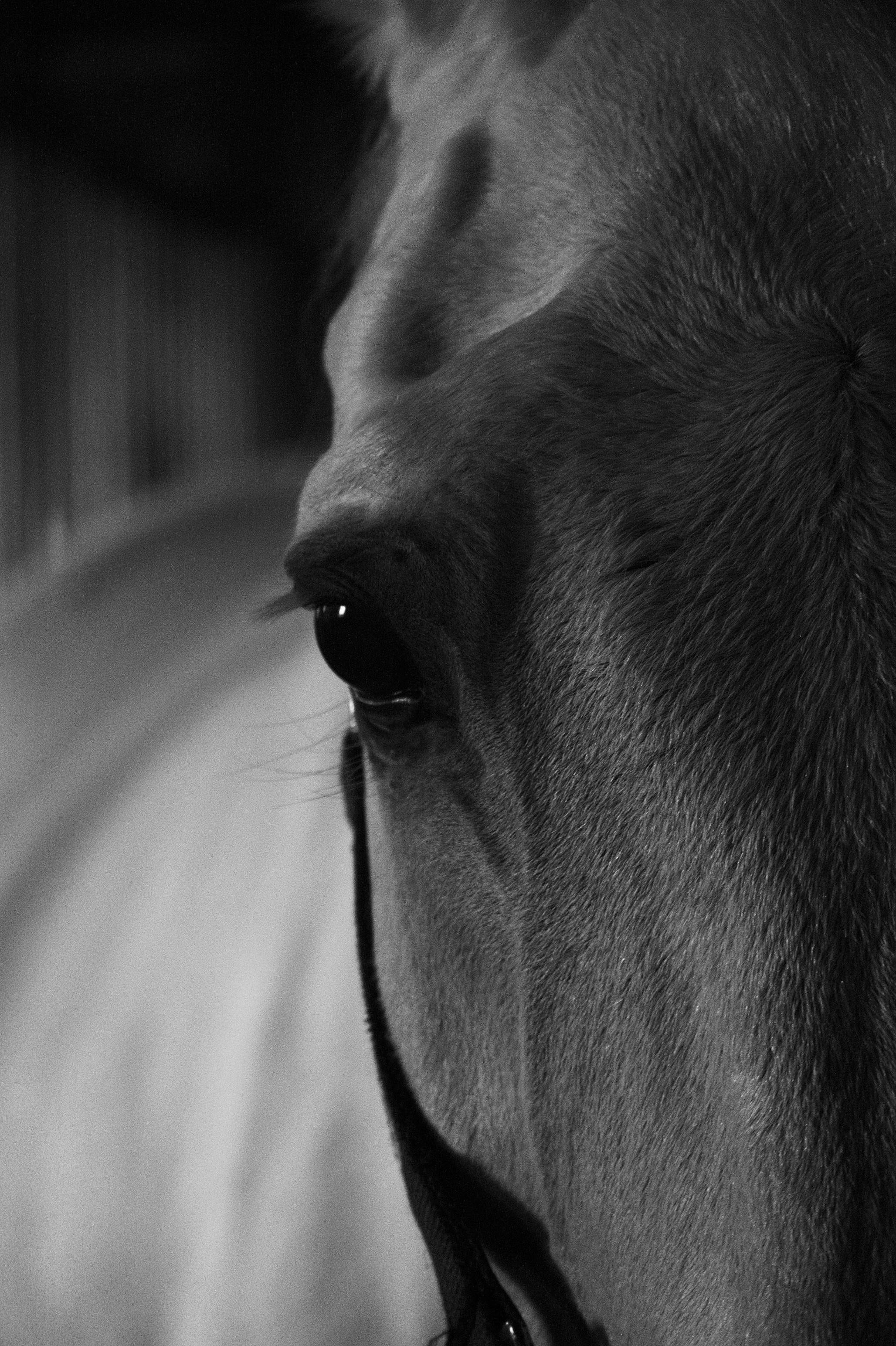 Евгения Астахова - дизайнер интерьера, дизайнер +7 985 220 6109. АСТАХОВА DESIGN дизайн интерьера +7 985 220 6109