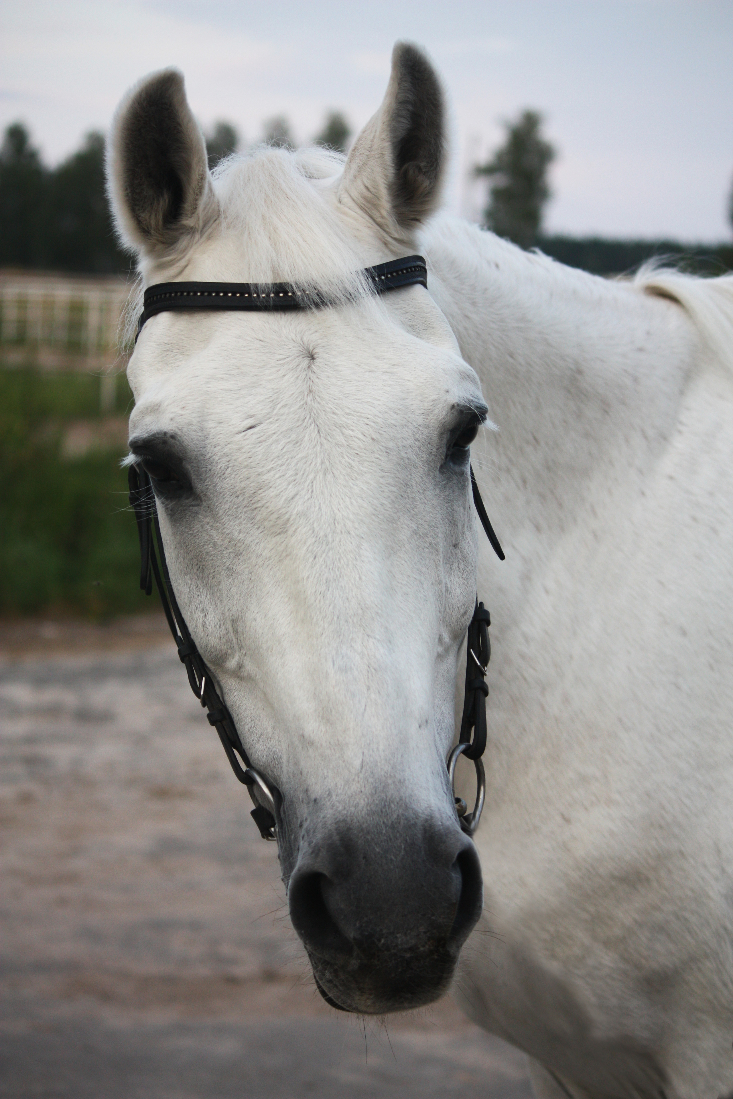 Евгения Астахова - дизайнер интерьера, дизайнер +7 985 220 6109. АСТАХОВА DESIGN дизайн интерьера +7 985 220 6109