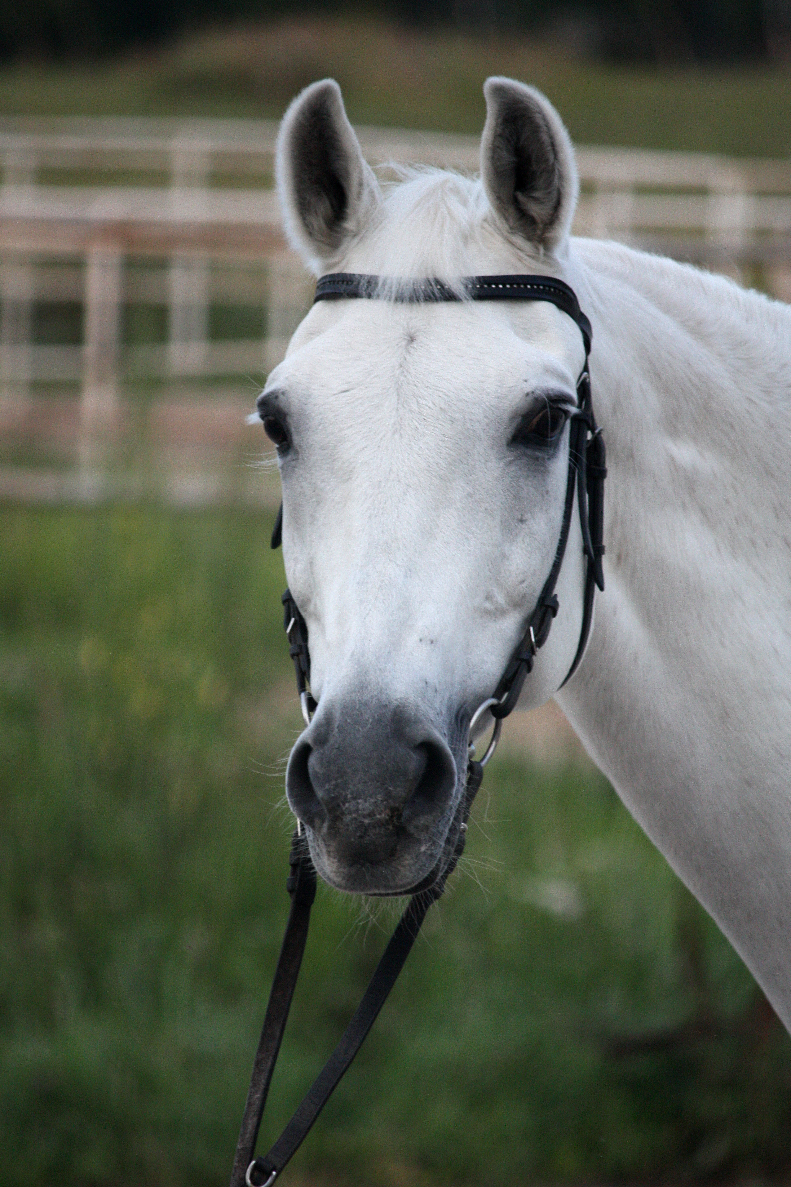 Евгения Астахова - дизайнер интерьера, дизайнер +7 985 220 6109. АСТАХОВА DESIGN дизайн интерьера +7 985 220 6109