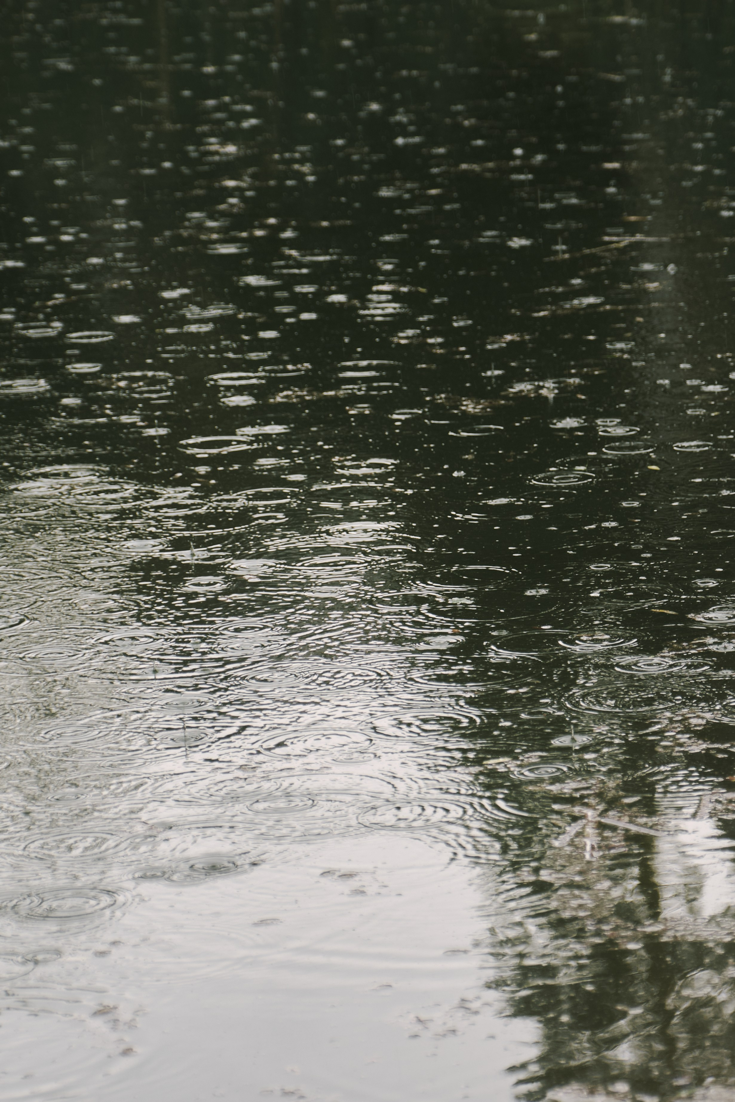 Юлия и Сергей. Фотограф в Москве и Санкт-Петербурге