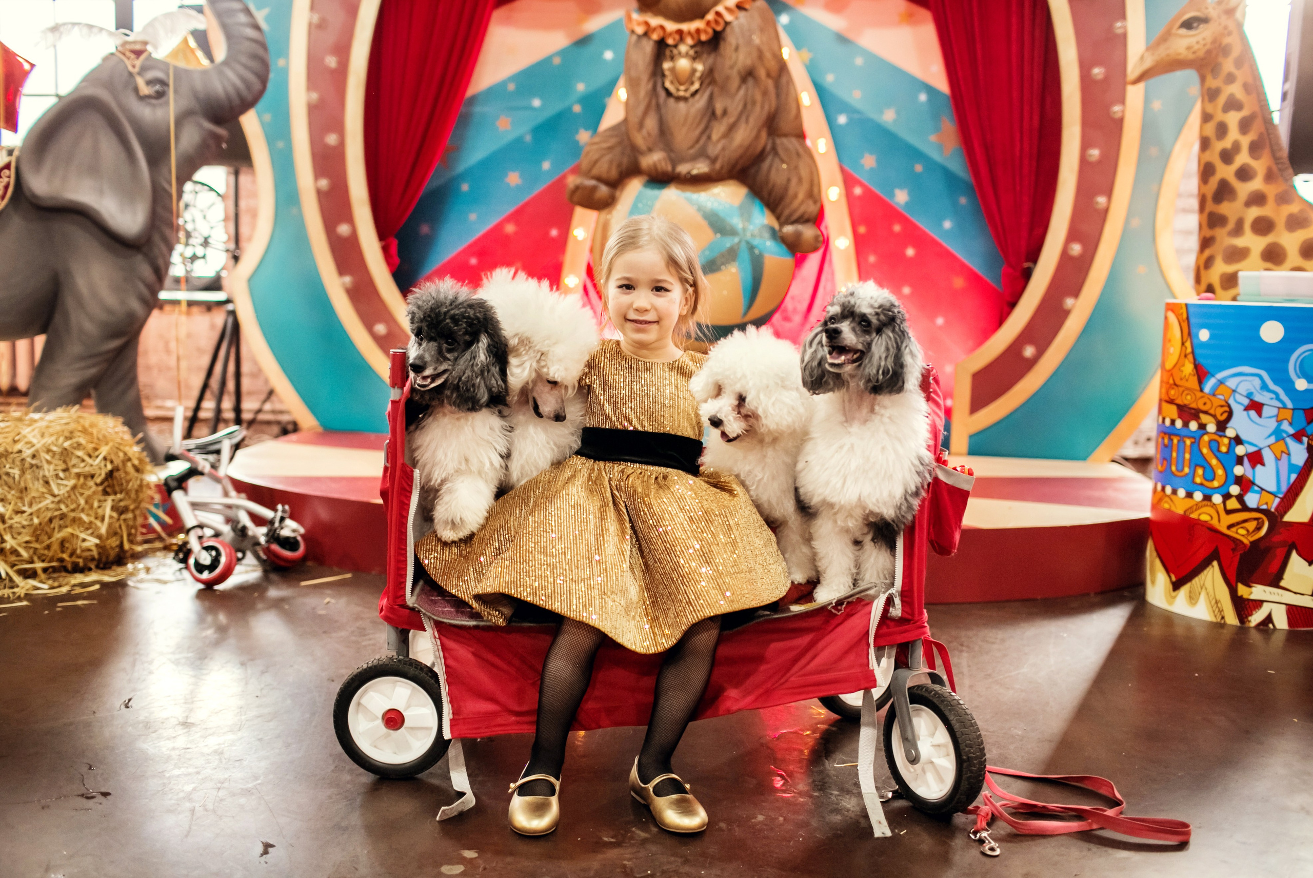 Насте 5 лет. Детский и семейный фотограф в Москве Анна Ипатьева