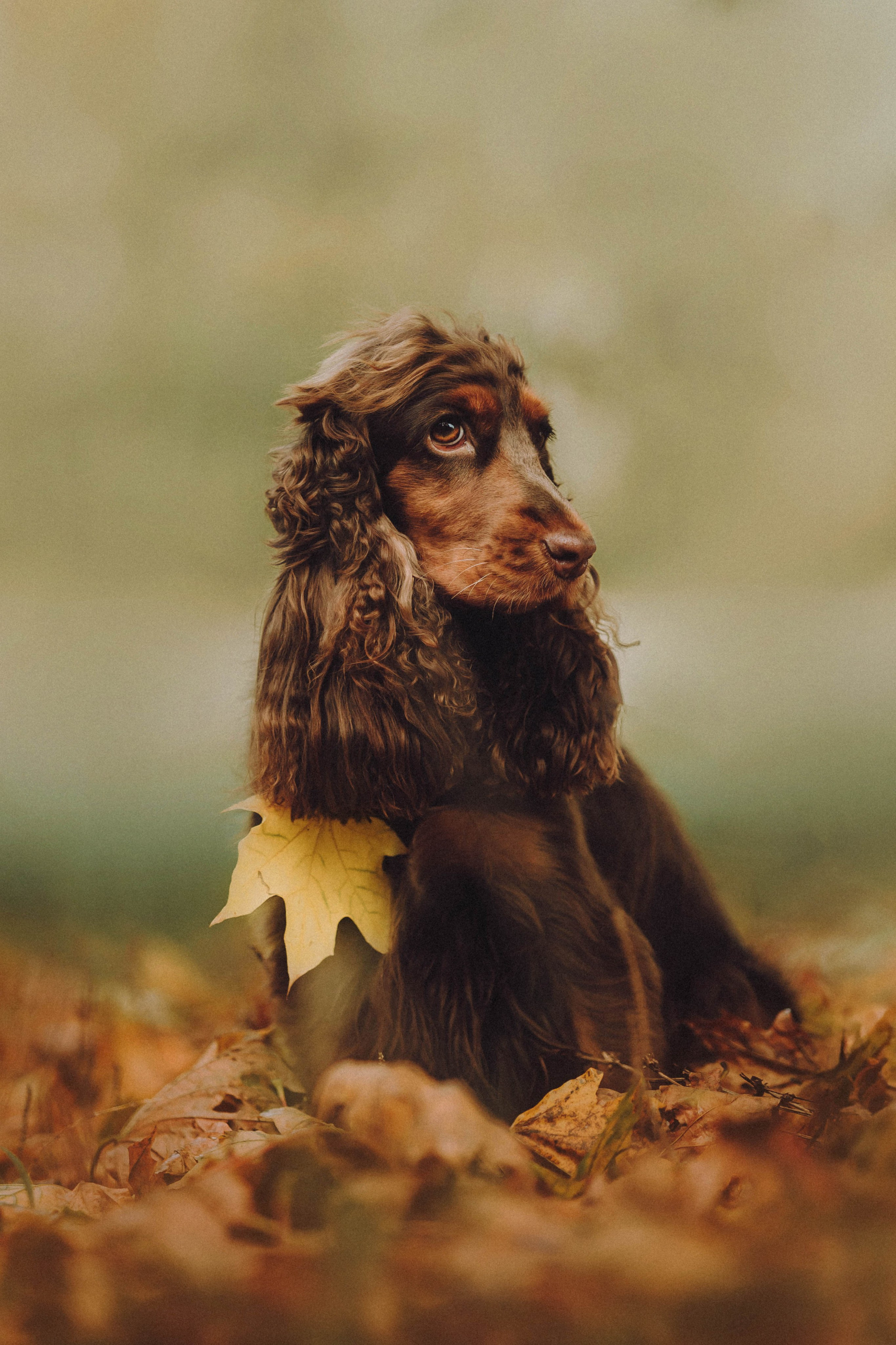 Настя, Саша и Эстер