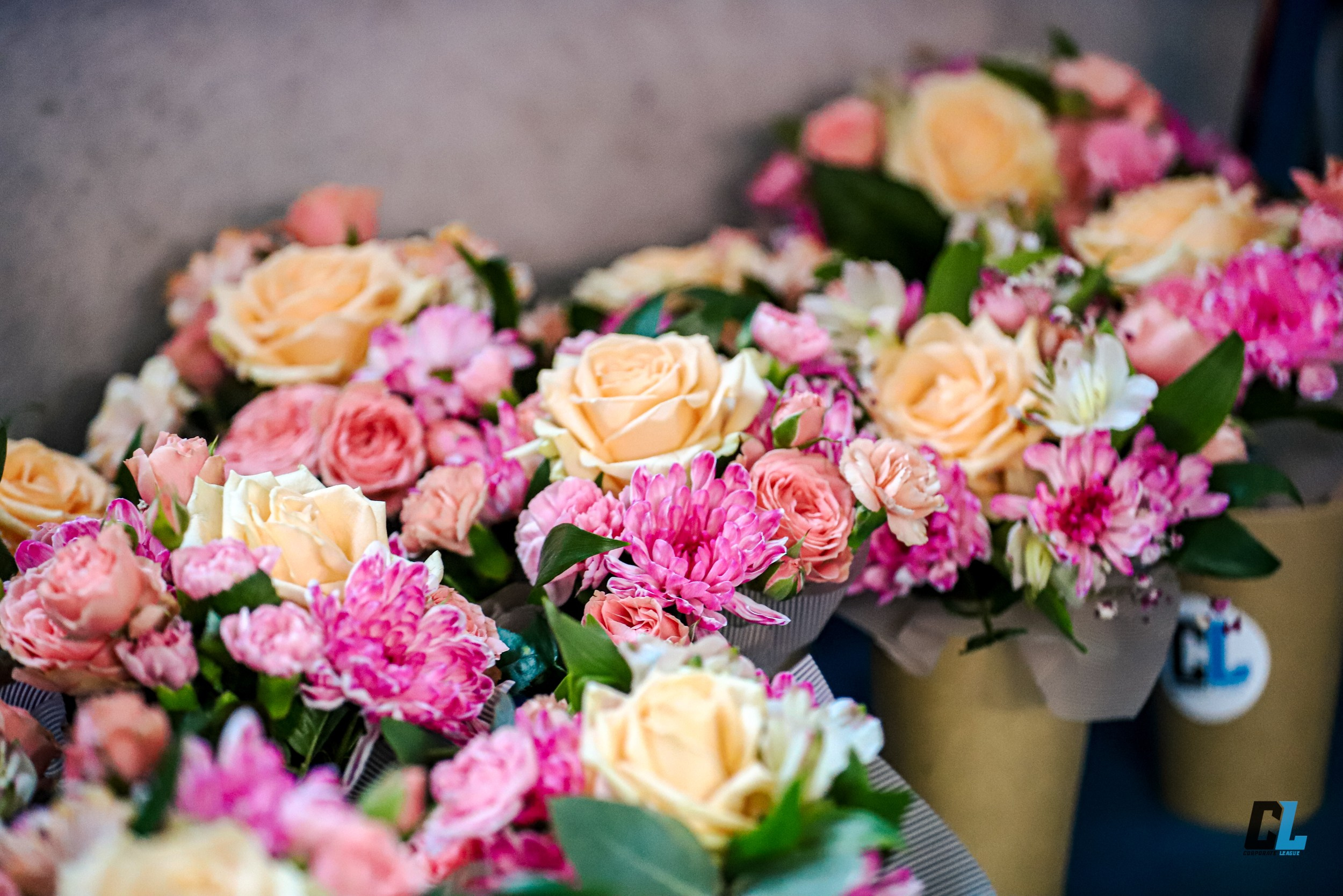 Волейбол. CL. Съемка в г. Екатеринбурге