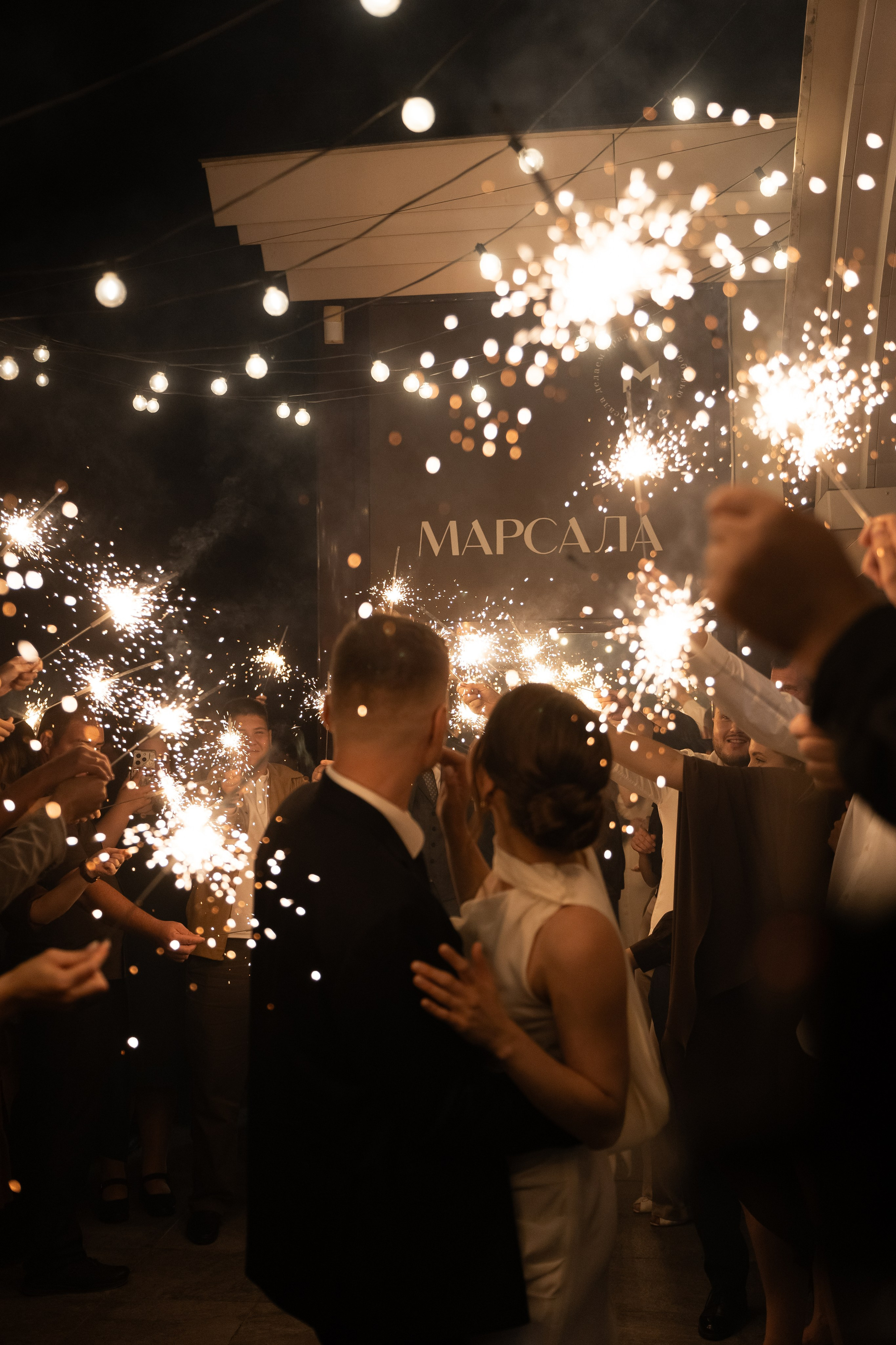 Серая кошка и рыжий кот. Свадебный и семейный фотограф Арина Кулёва