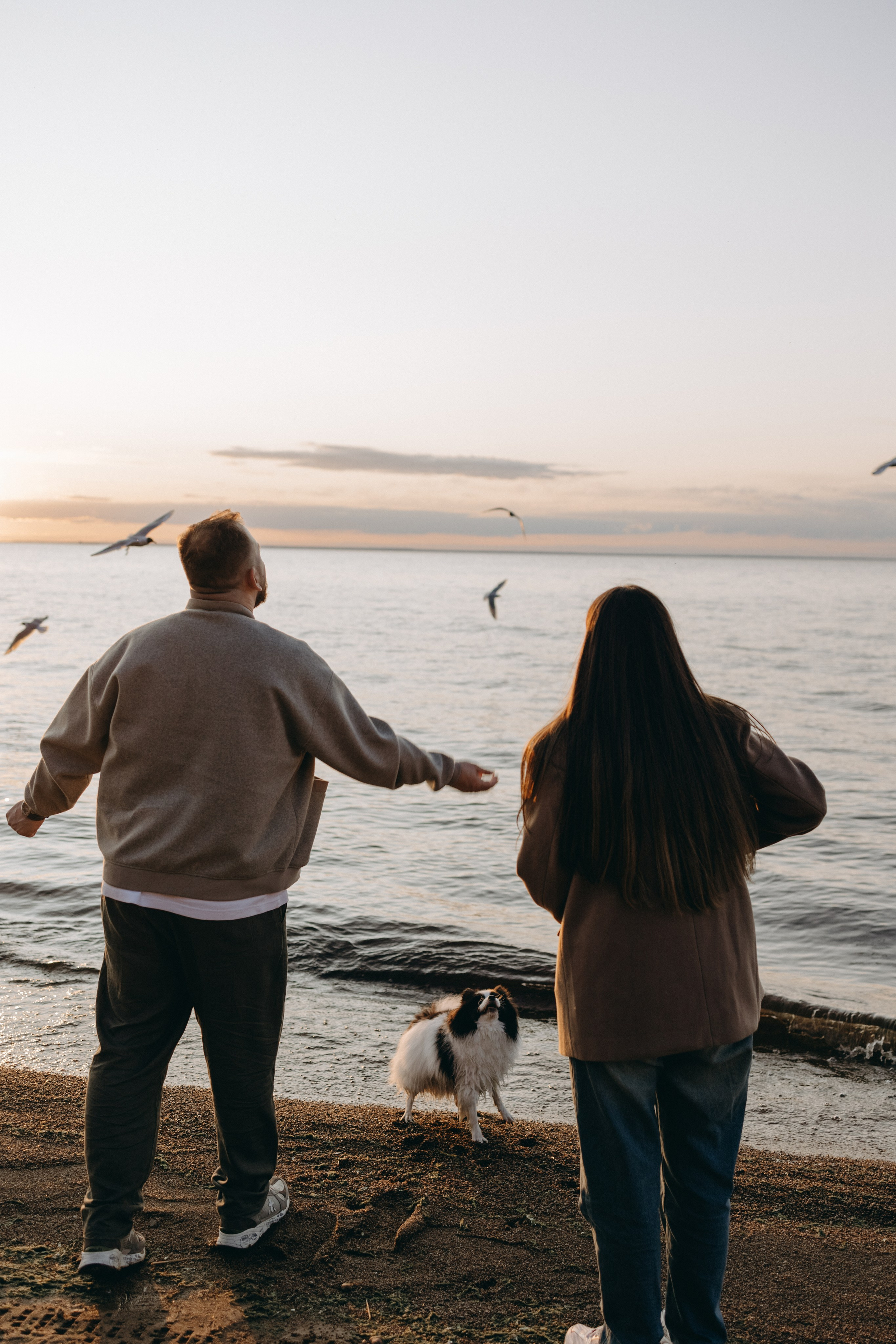 Диана и ее мальчики. Фотограф — Анималист | Санкт-Петербург