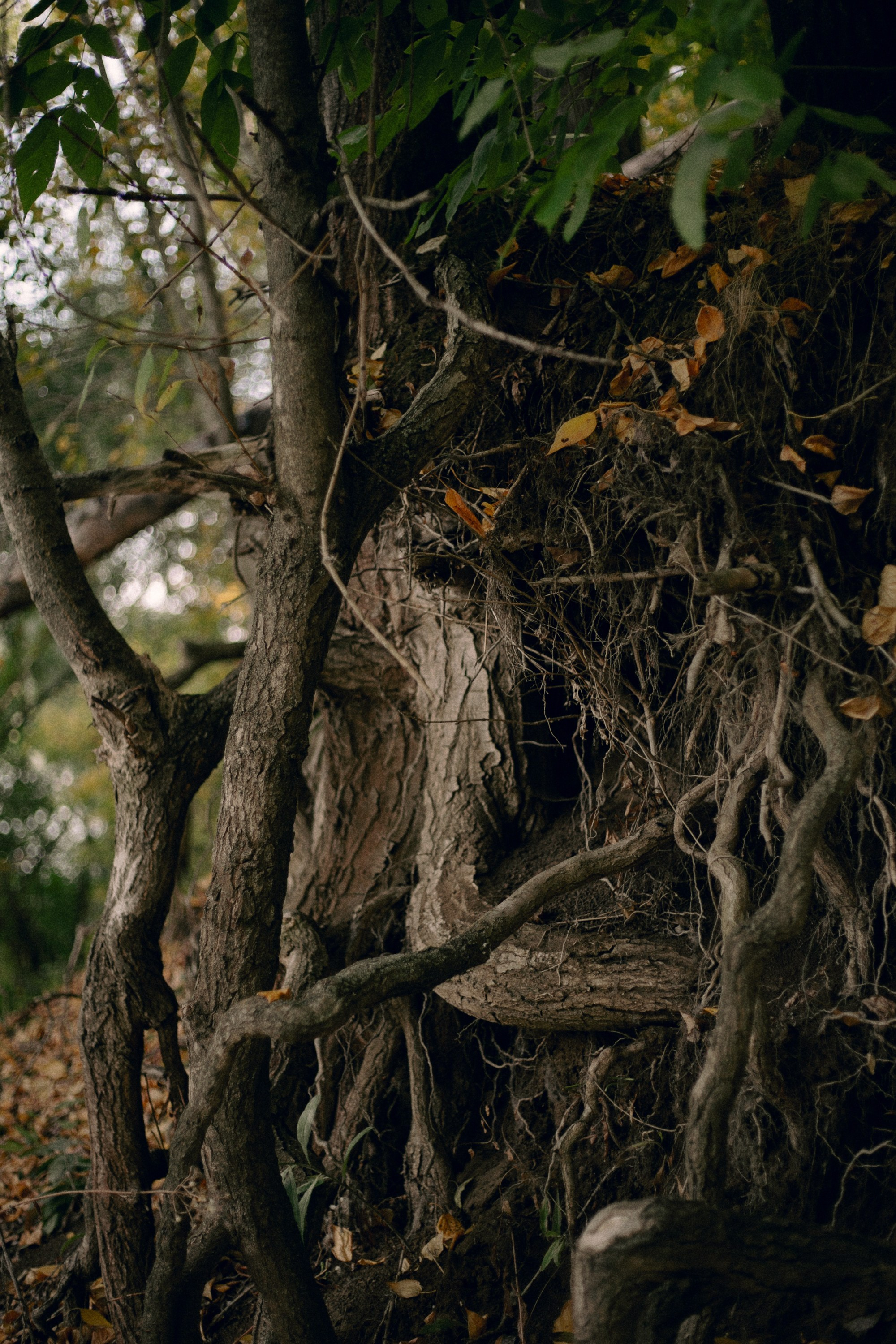 Лена (творческая съемка). Ульяна Григорьева фотограф Уфа