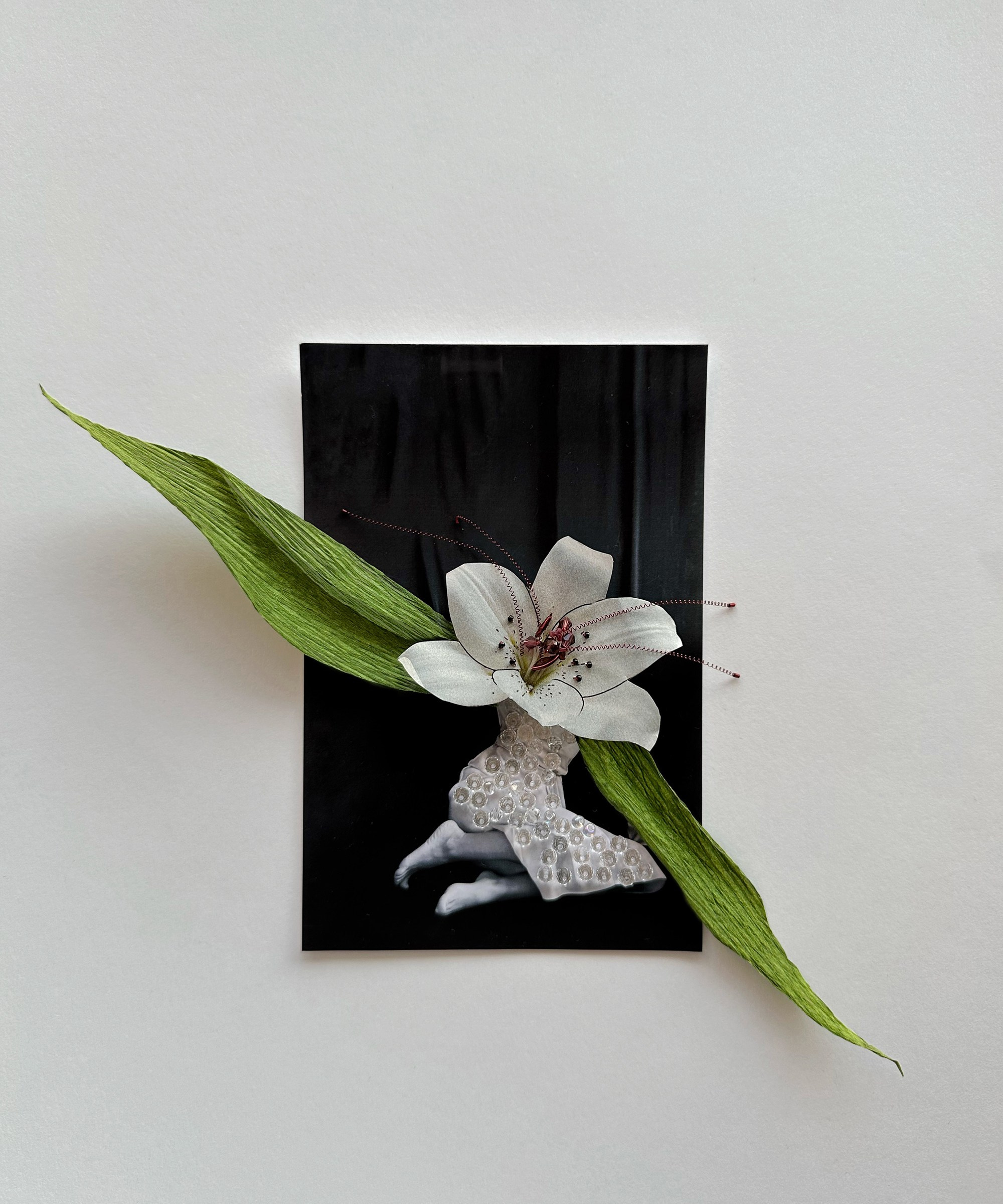 Портфолио. Визуальный художник Ольга Кутерина