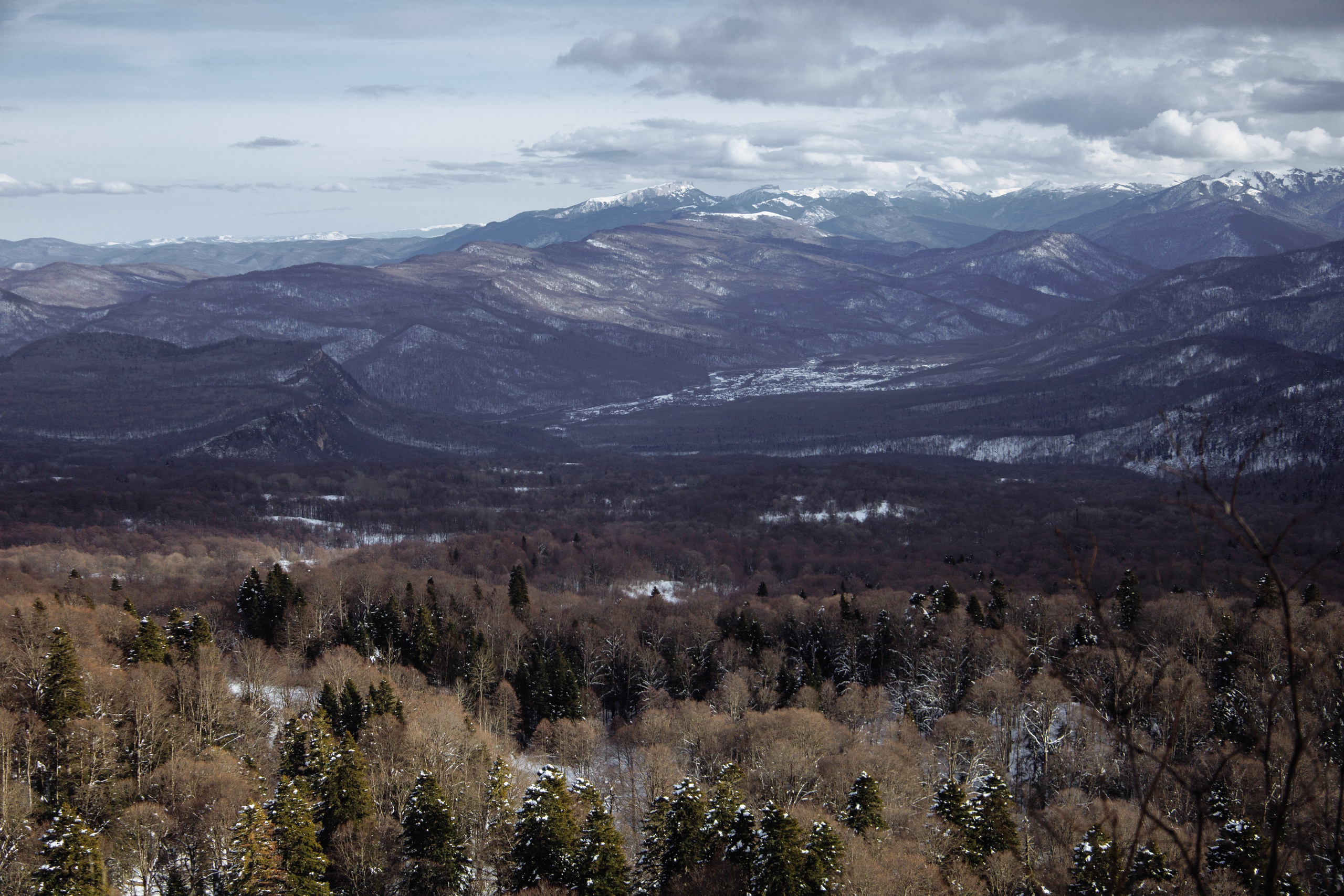 Адыгея. Лаго-Наки 27.01.24. Фотограф katya_vkadre Таганрог
