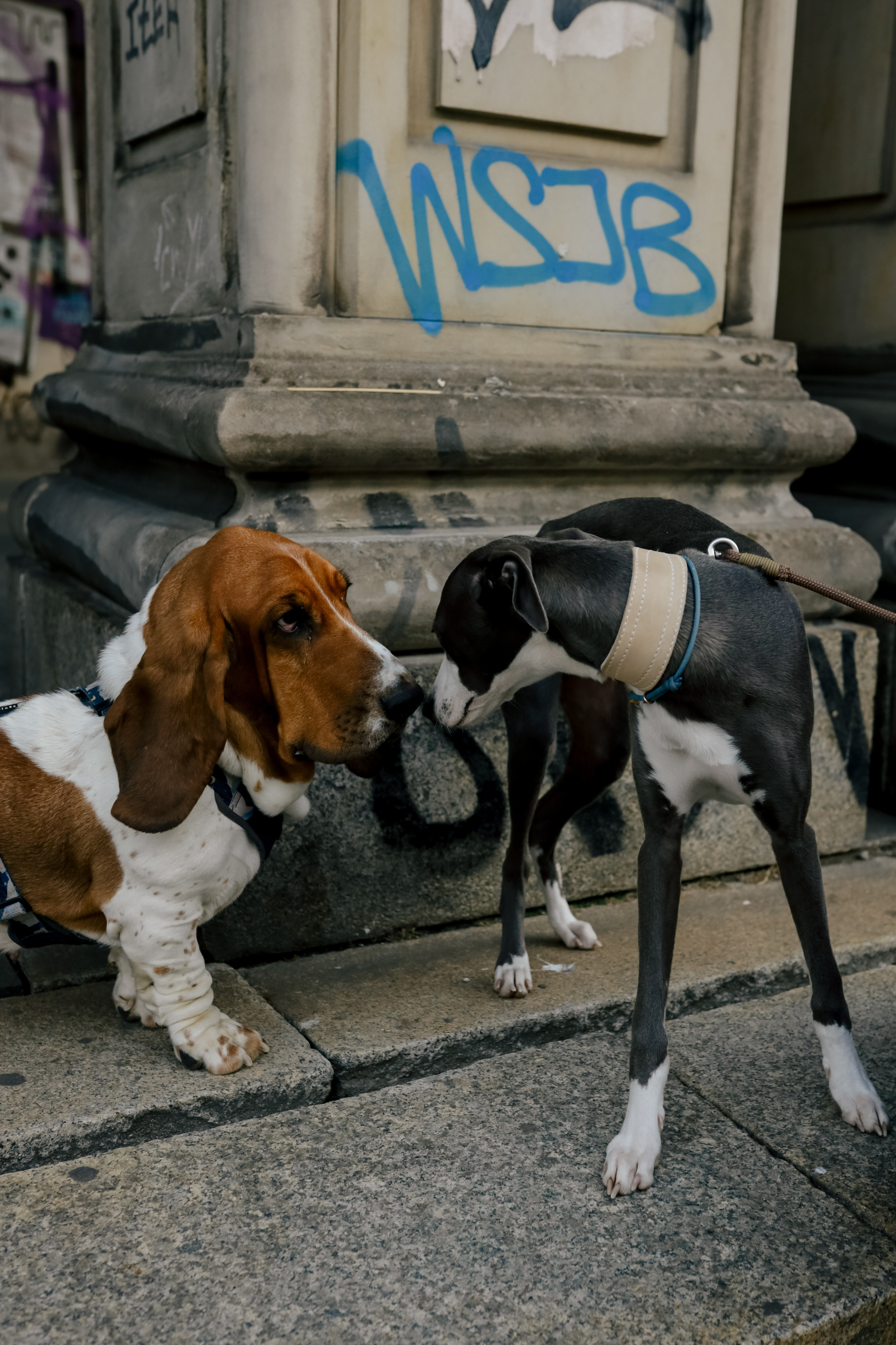 Первая осень Йотуна. Свадебный и семейный фотограф в Варшаве