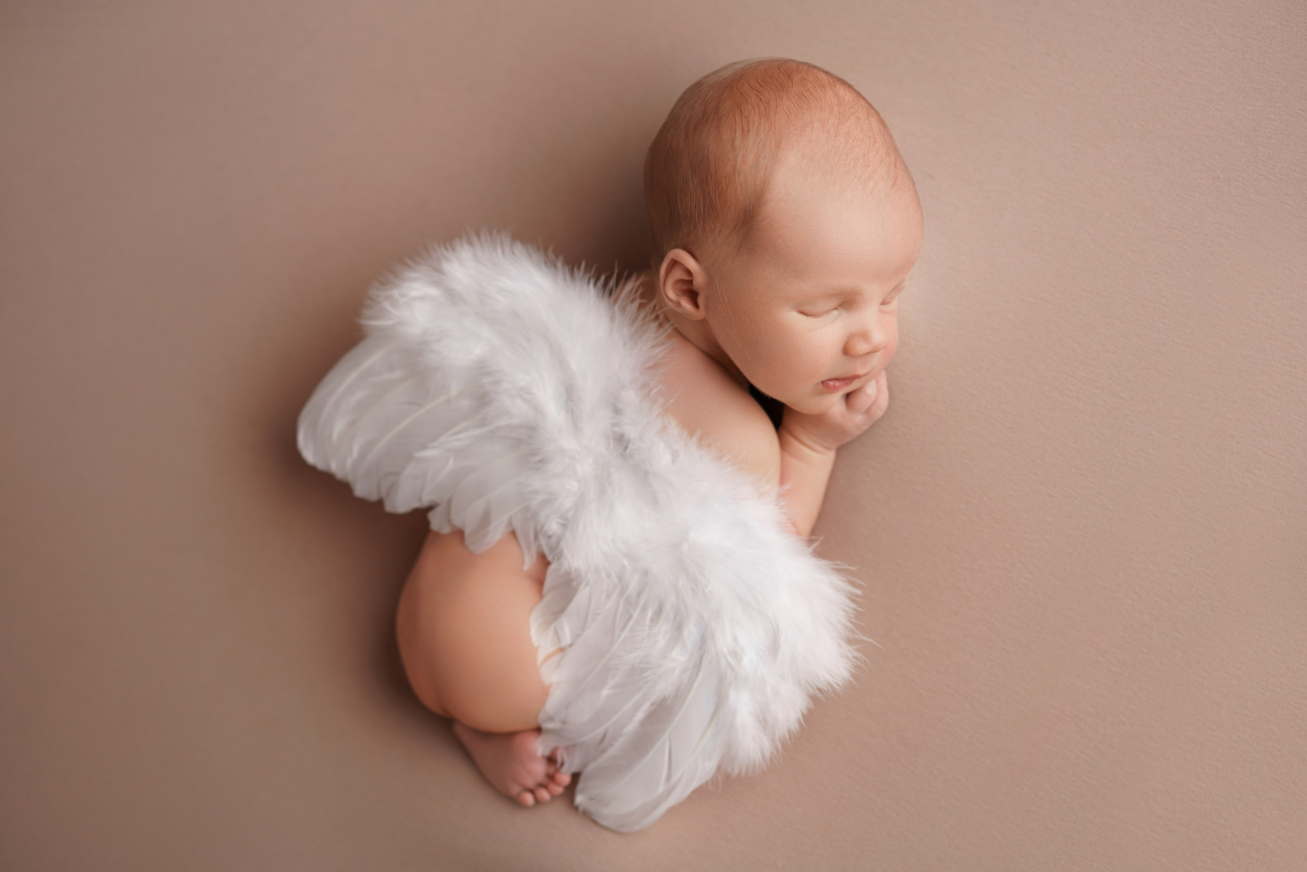 Фотосессия новорожденного в образе ангела - профессиональные снимки, MD GROUP, Москва