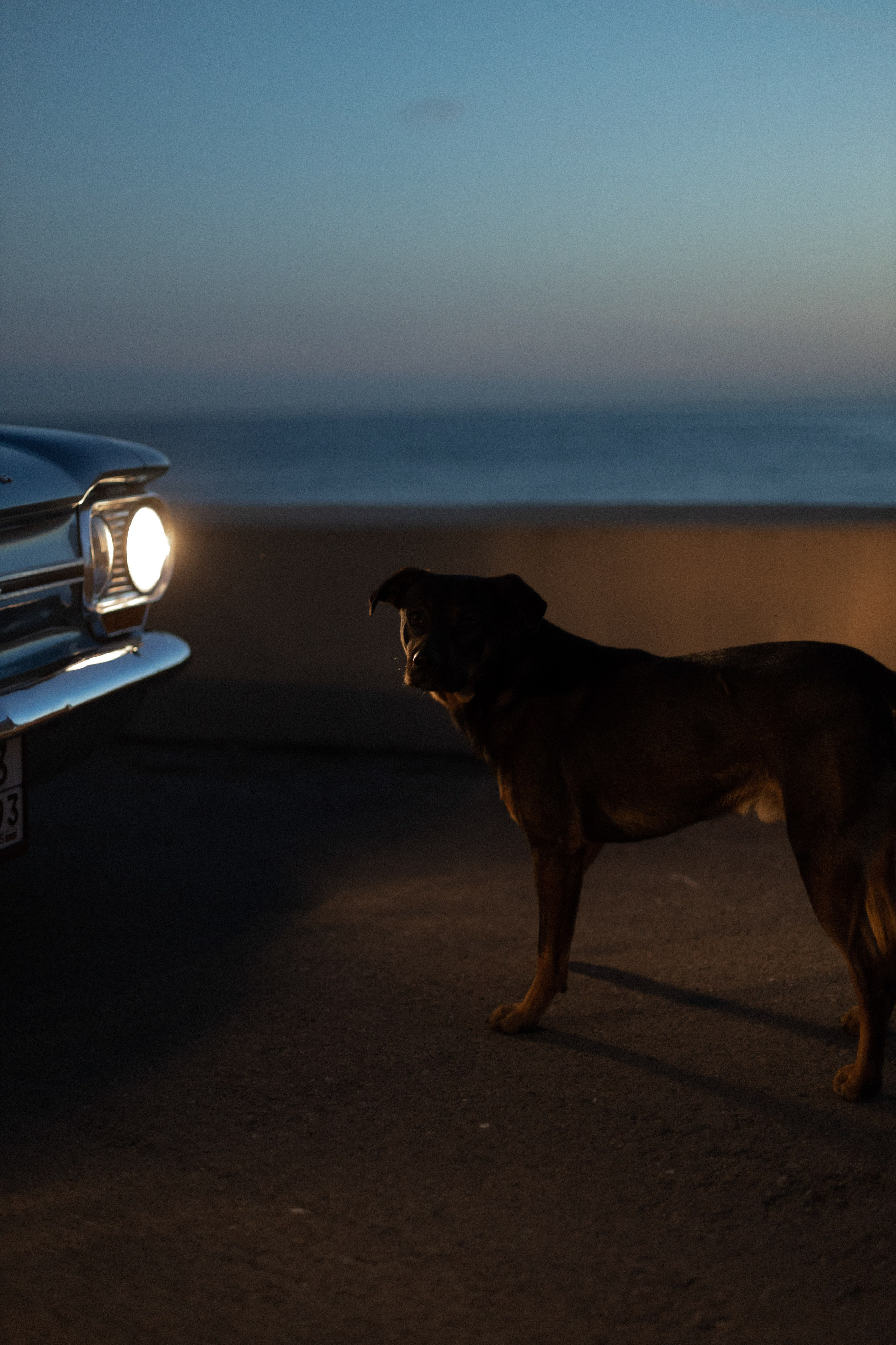 Алексей и Анастасия. Свадебный и портретный фотограф Москва Зеленоград Юлия Абрамова