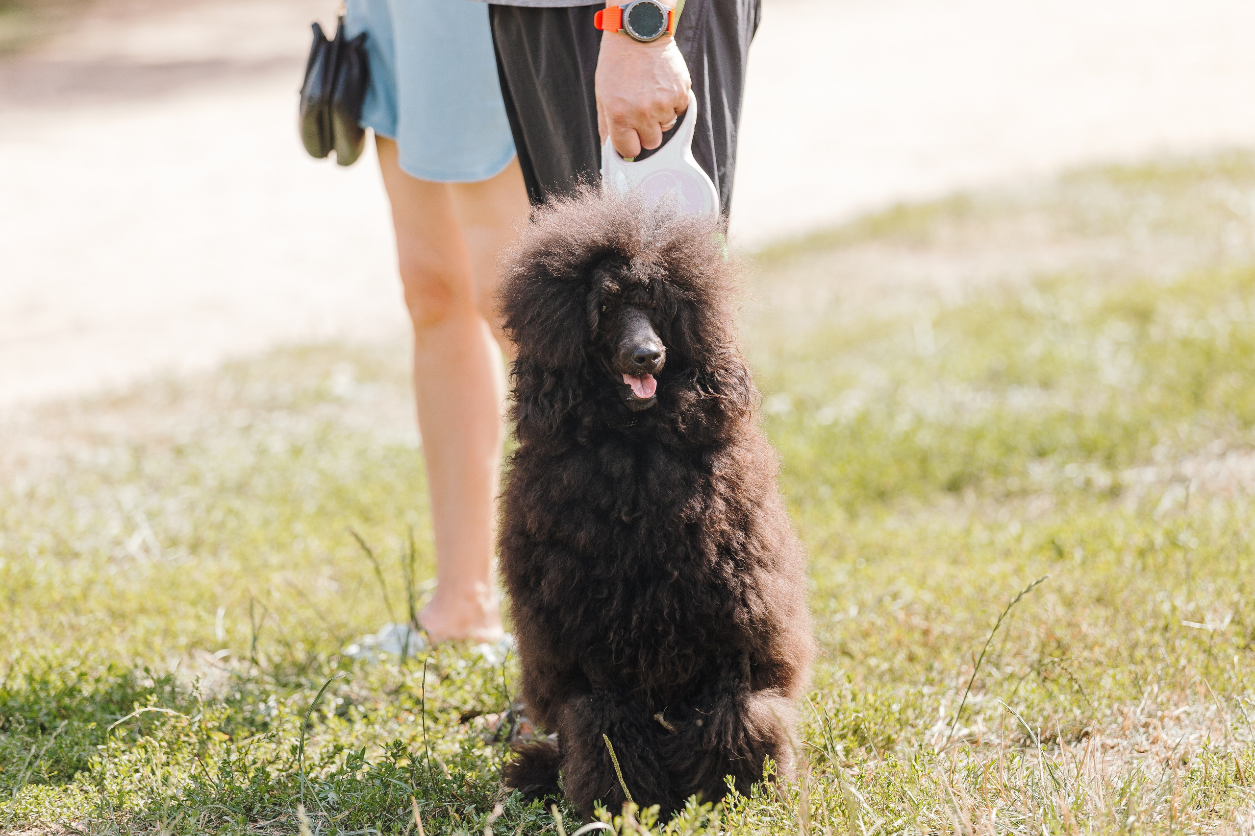 Petshop Sup day. Фотограф анималист Кристина Карпова, Москва