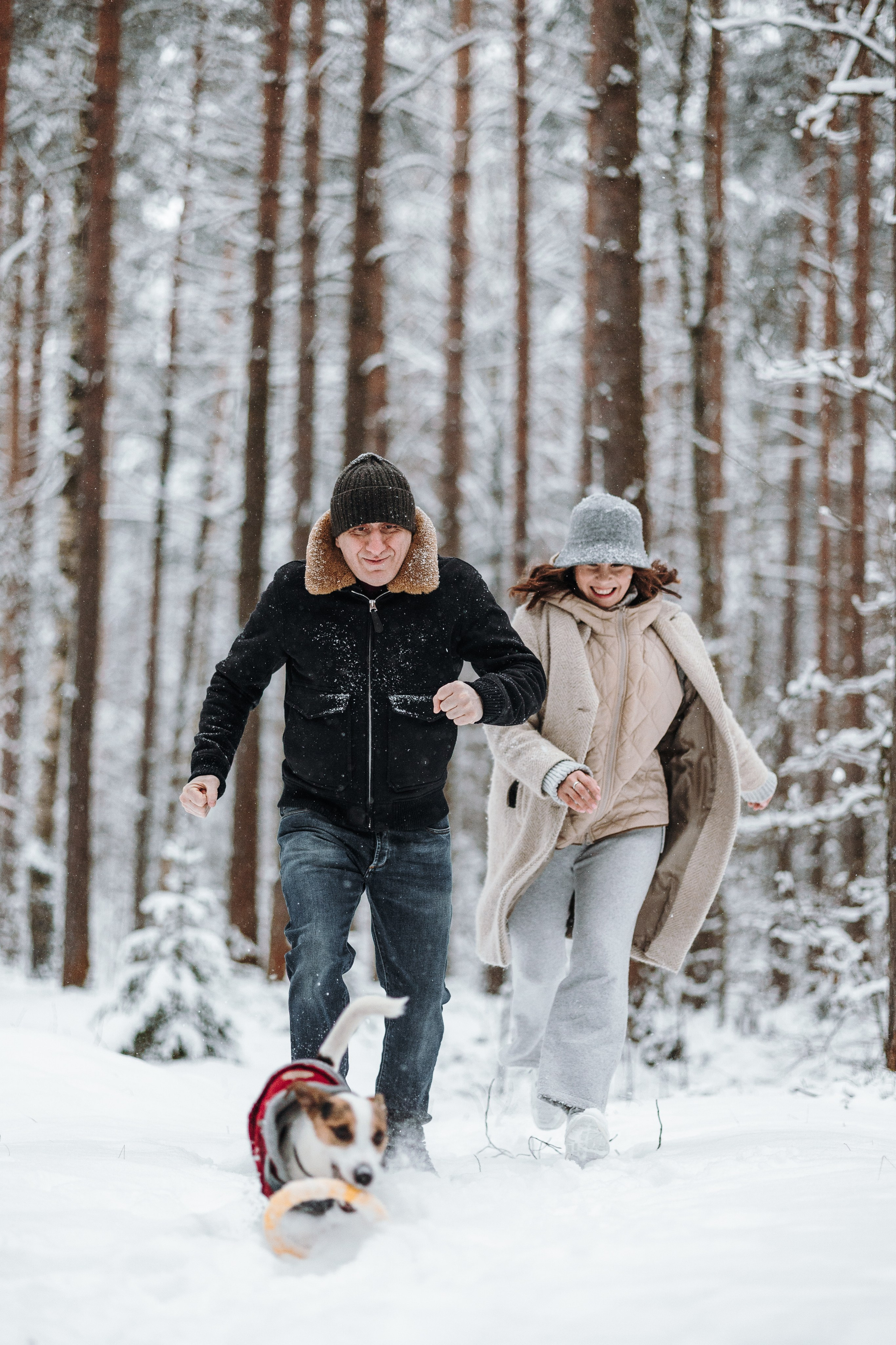 Мики и его семья. Фотограф — Анималист | Санкт-Петербург
