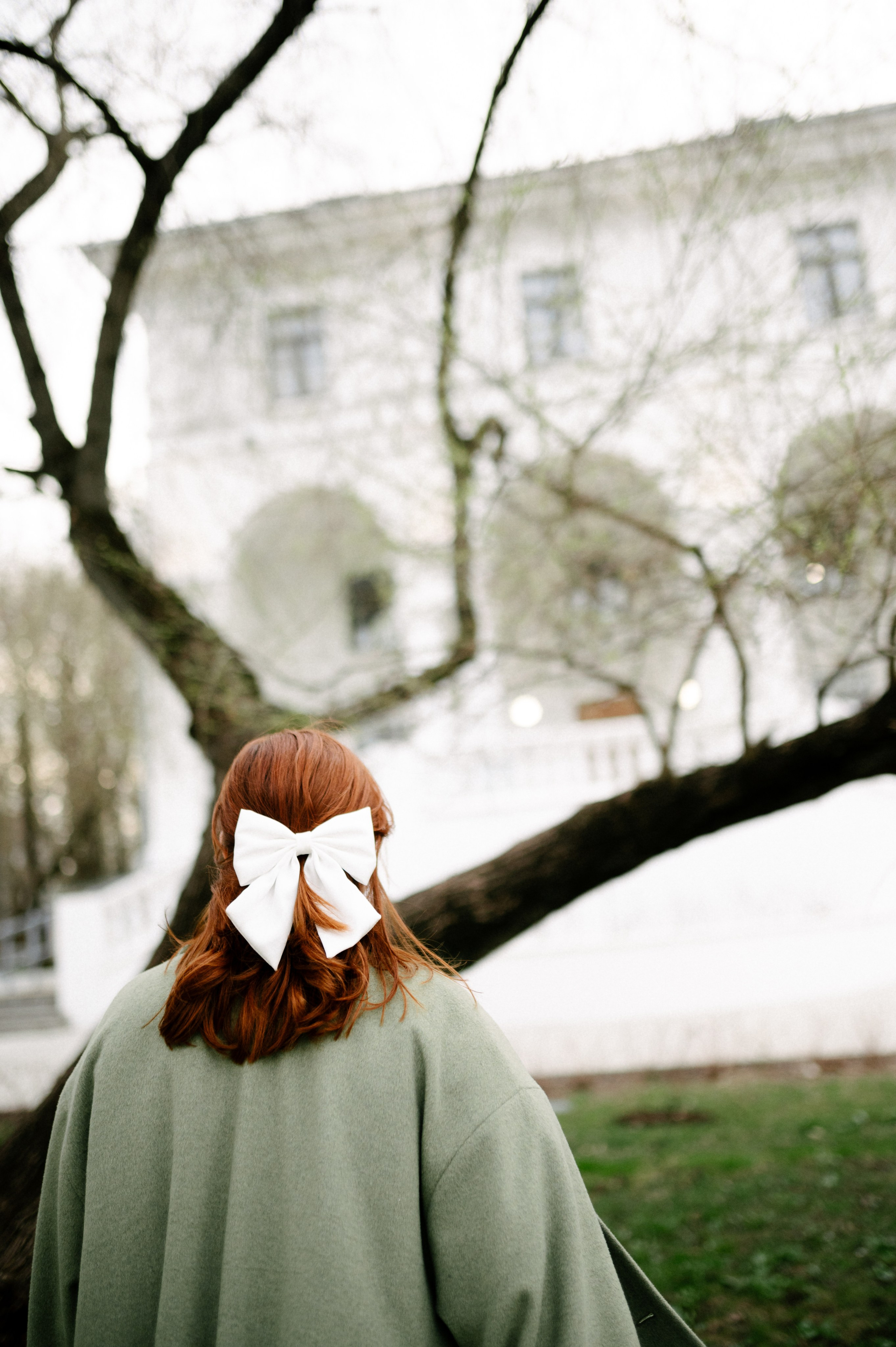 Рыжая команда. Фотограф анималист в Москве Ольга Агушева