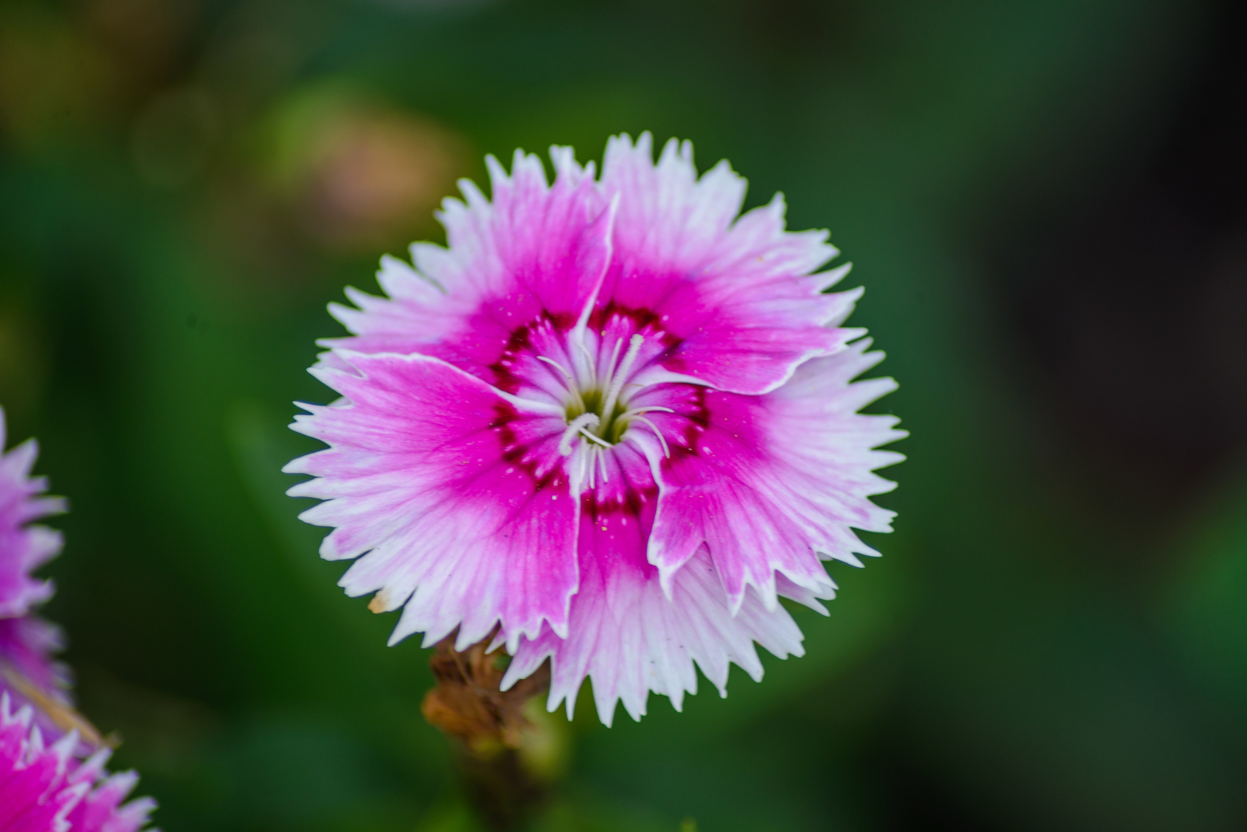 Природа. Фотограф в городе Омске Константин Зоткин