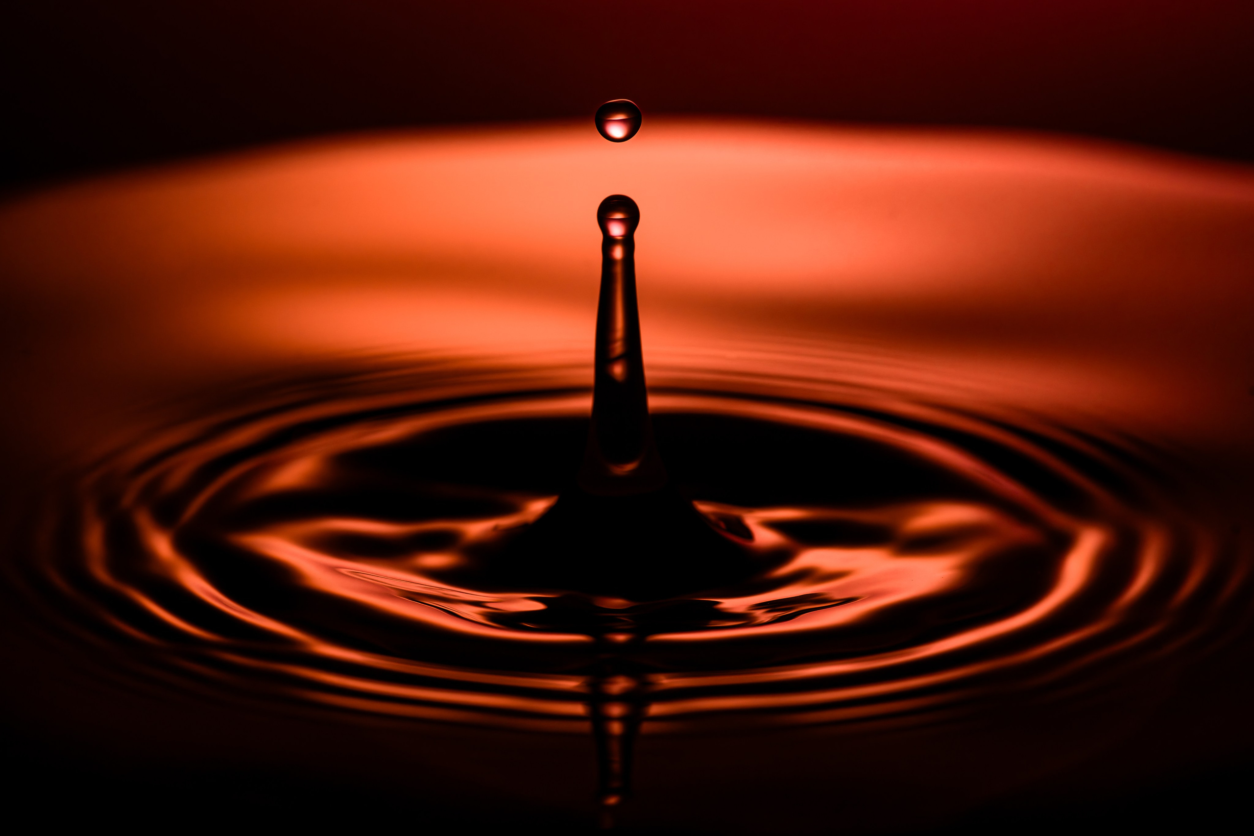 Макро. Предметный фотограф в Воронеже Дмитрий Игнатов