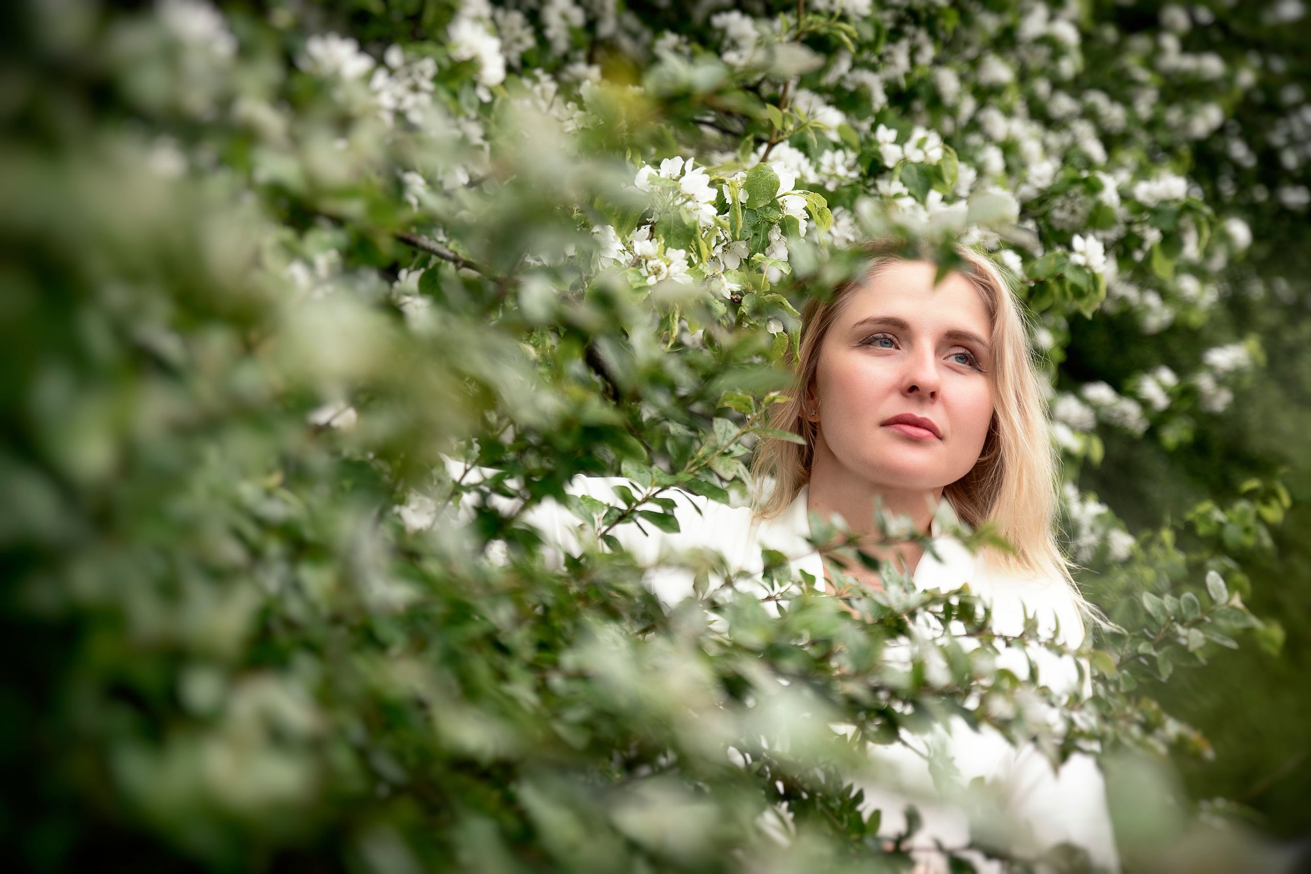 Белый шепот яблонь