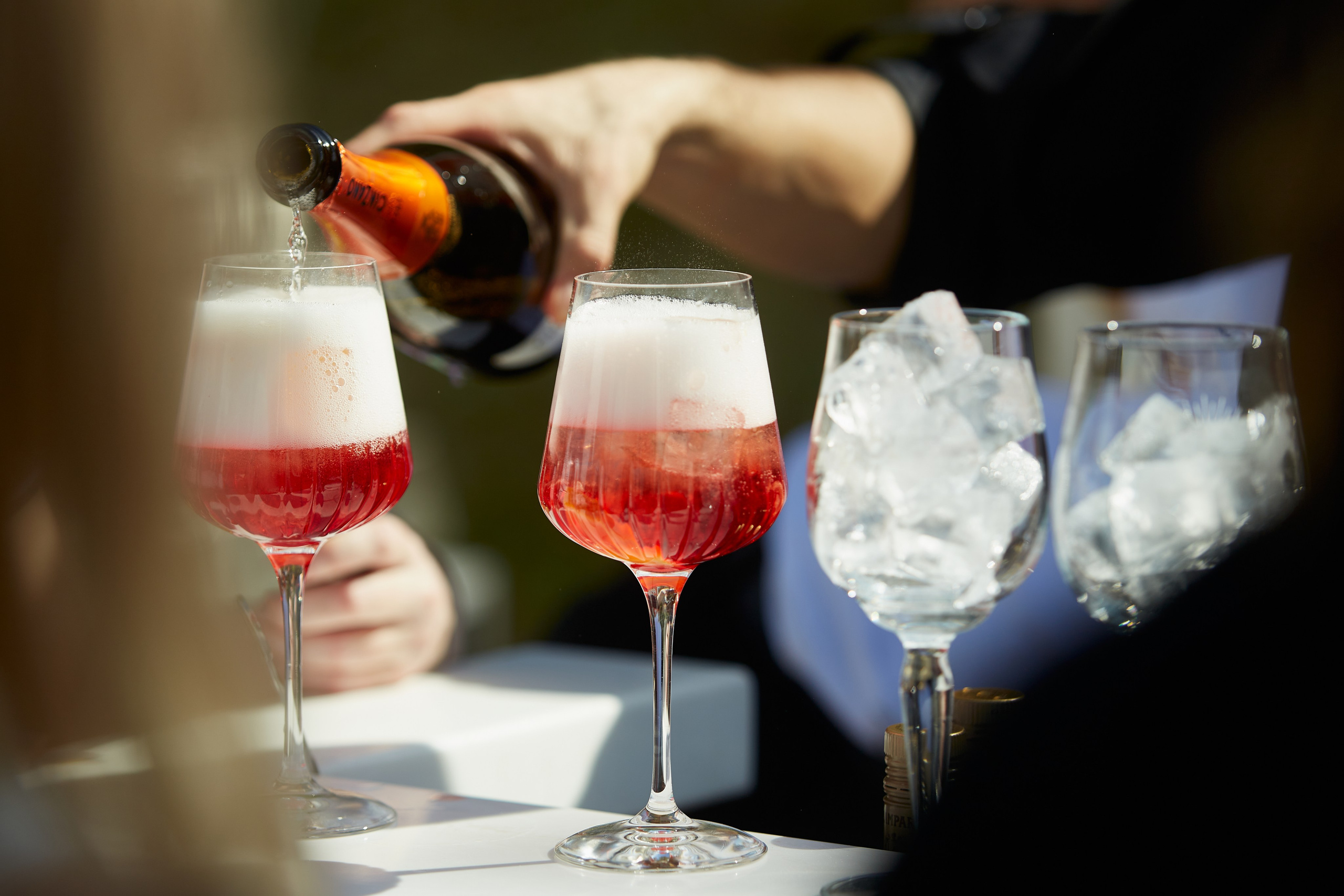 Летняя встреча компании. Свадебный фотограф Москва и Московская область Борисов Сергей