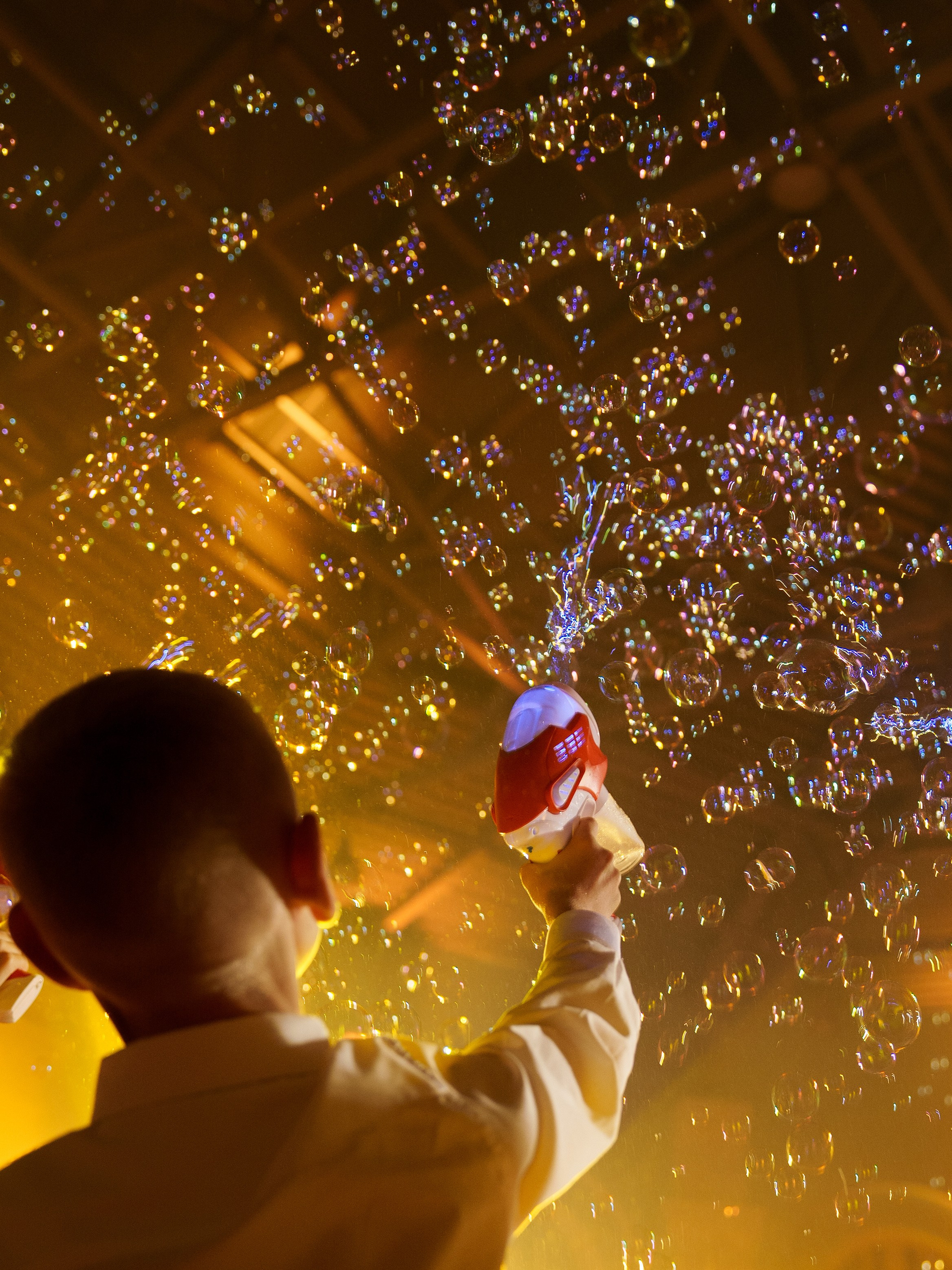 Илья и Алена. Свадебный фотограф Михаил Мирзоян