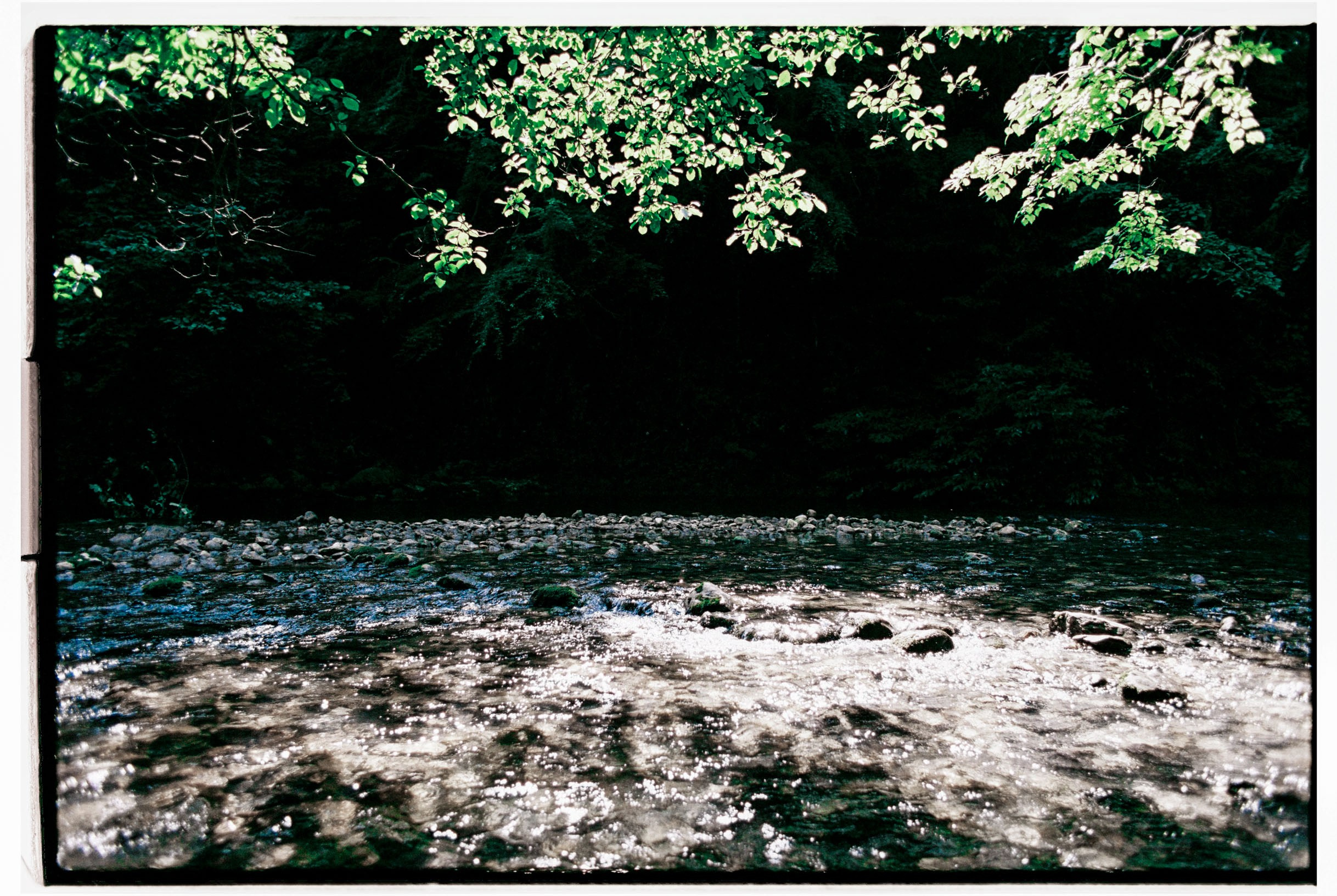 Abkhazia-2023. Никита Демидов. Nikita Demidov