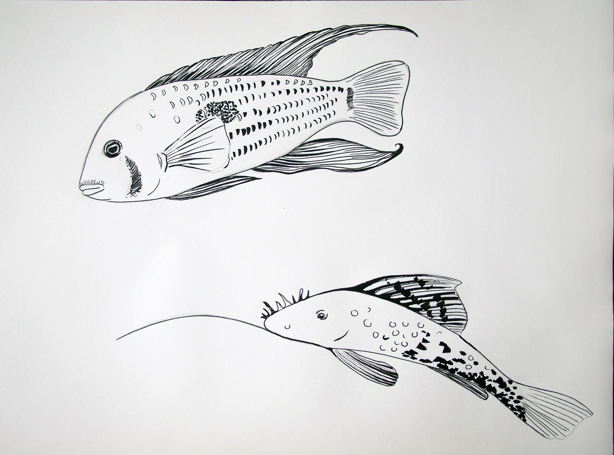 Скетчи — художник Андреева Ирина. Художник в Липецке Ирина Андреева