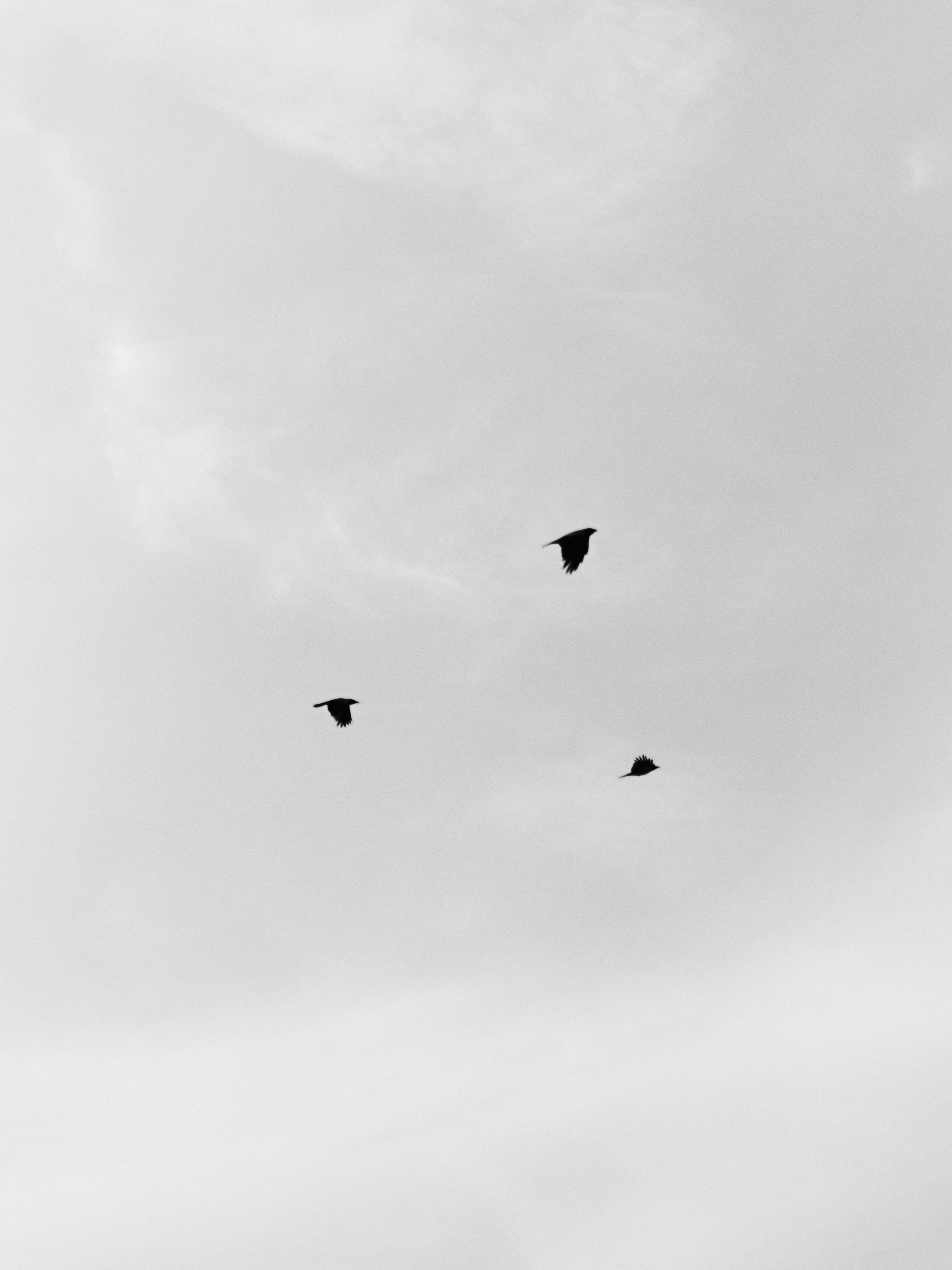 Диптих. Jorgis — фотограф в Хургаде / обучение фотографии