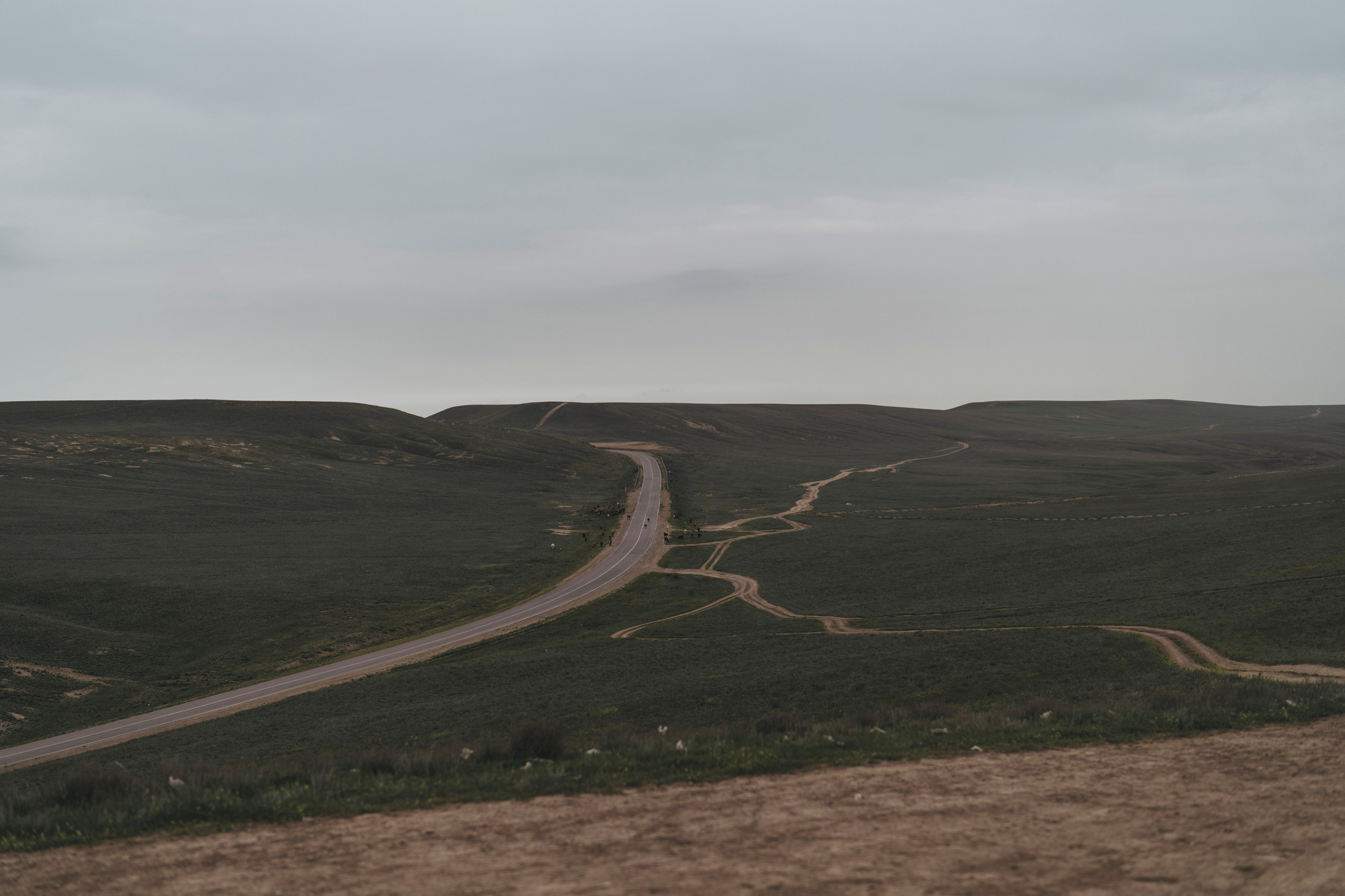 Dagestan. Фотограф Дарья Филатова