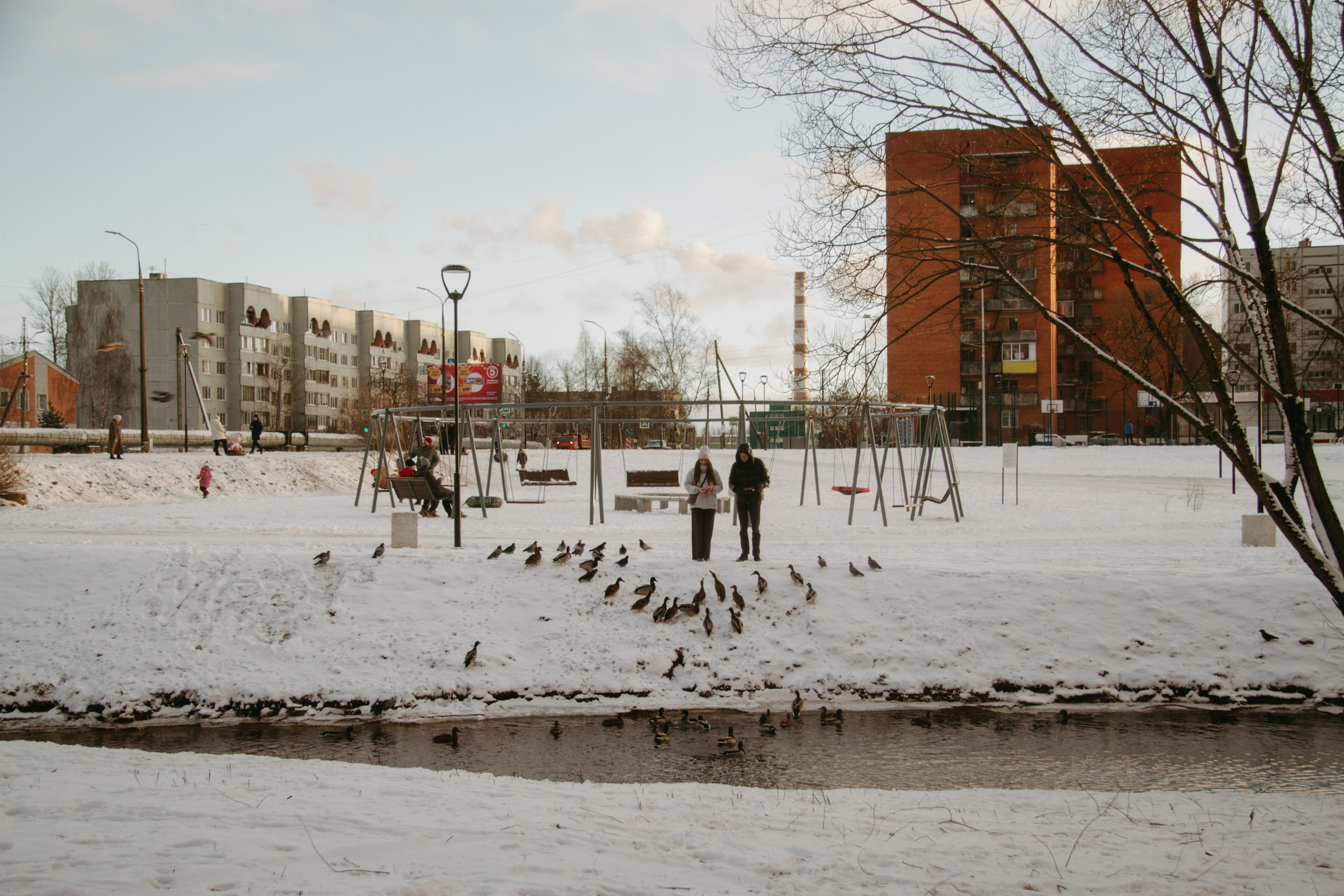 Середина нигде. Варвара Бабёнышева