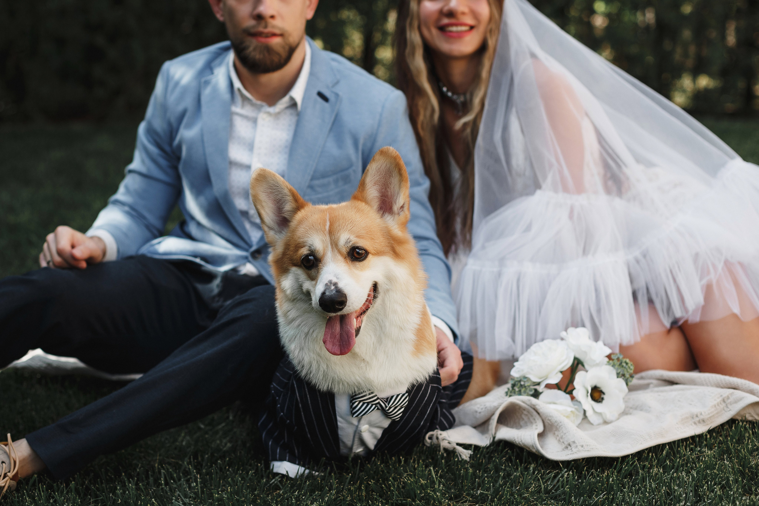Фотосессия в Таганроге: Денис и Маша с их очаровательной собакой. Свадебный и семейный фотограф в Таганроге Бакарюк Антон