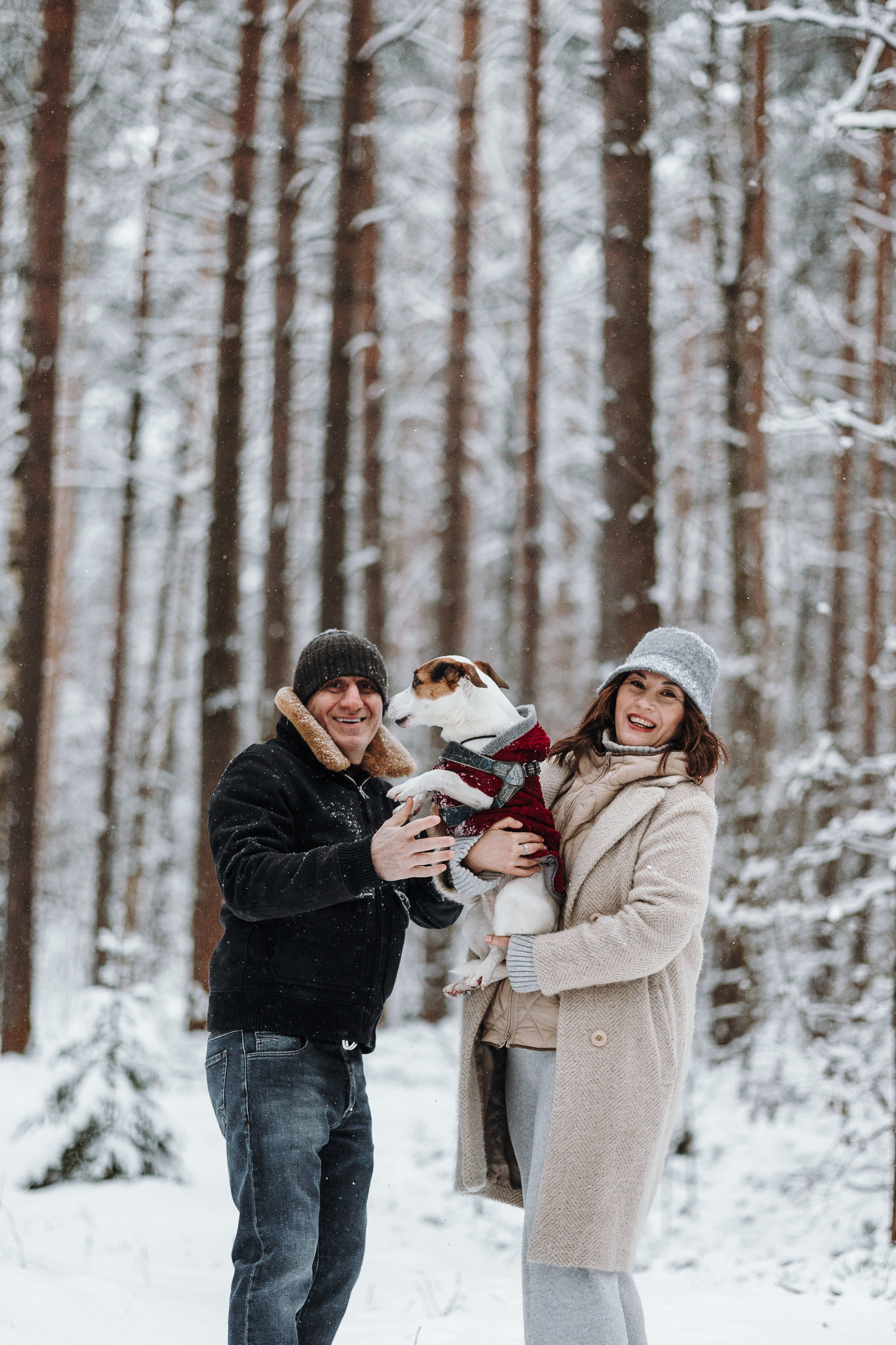 Мики и его семья. Фотограф — Анималист | Санкт-Петербург