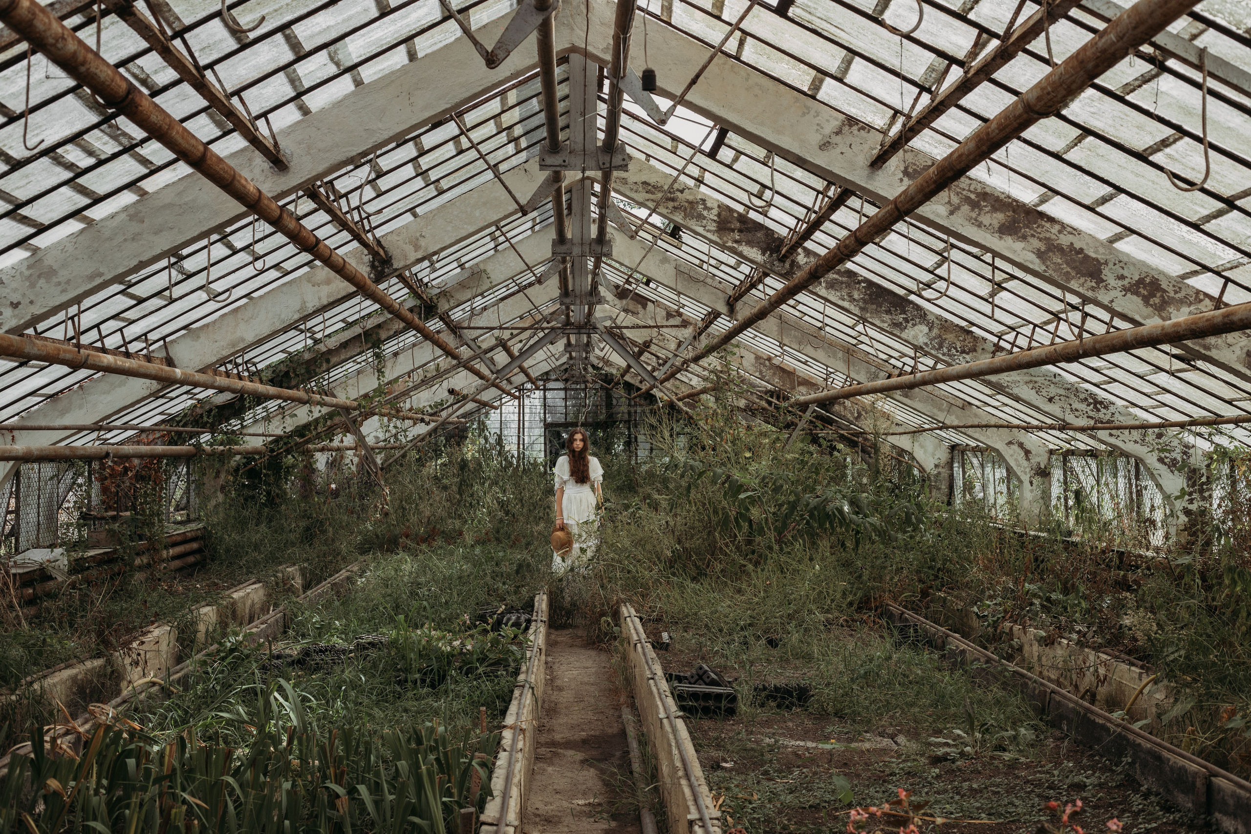 Оранжерея. Репортажный фотограф в Сочи Екатерина Вежливцева